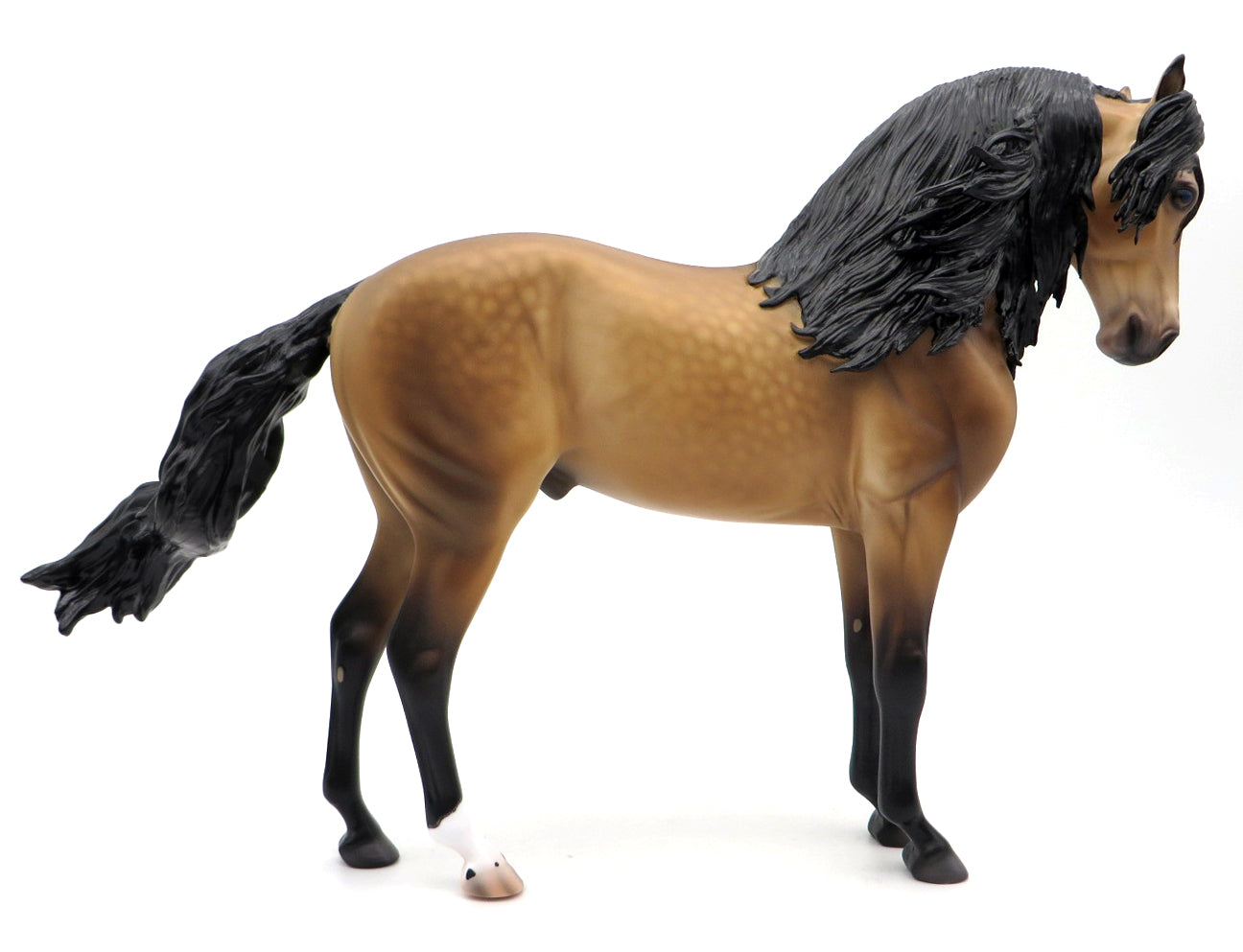 Clayton-OOAK Buckskin Andalusian by Caroline Boydston 10/11/21