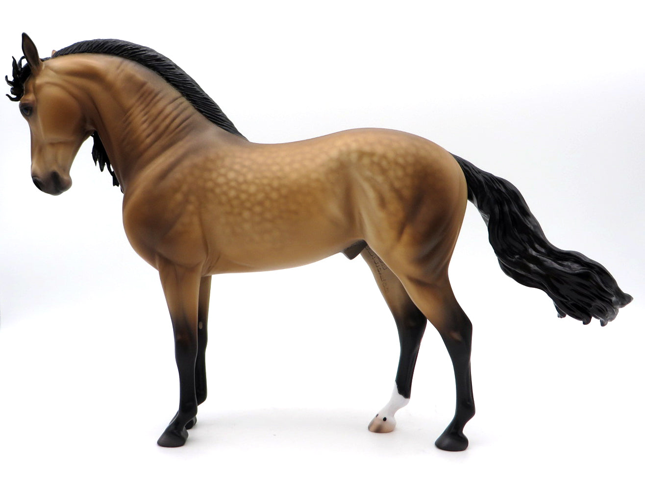 Clayton-OOAK Buckskin Andalusian by Caroline Boydston 10/11/21