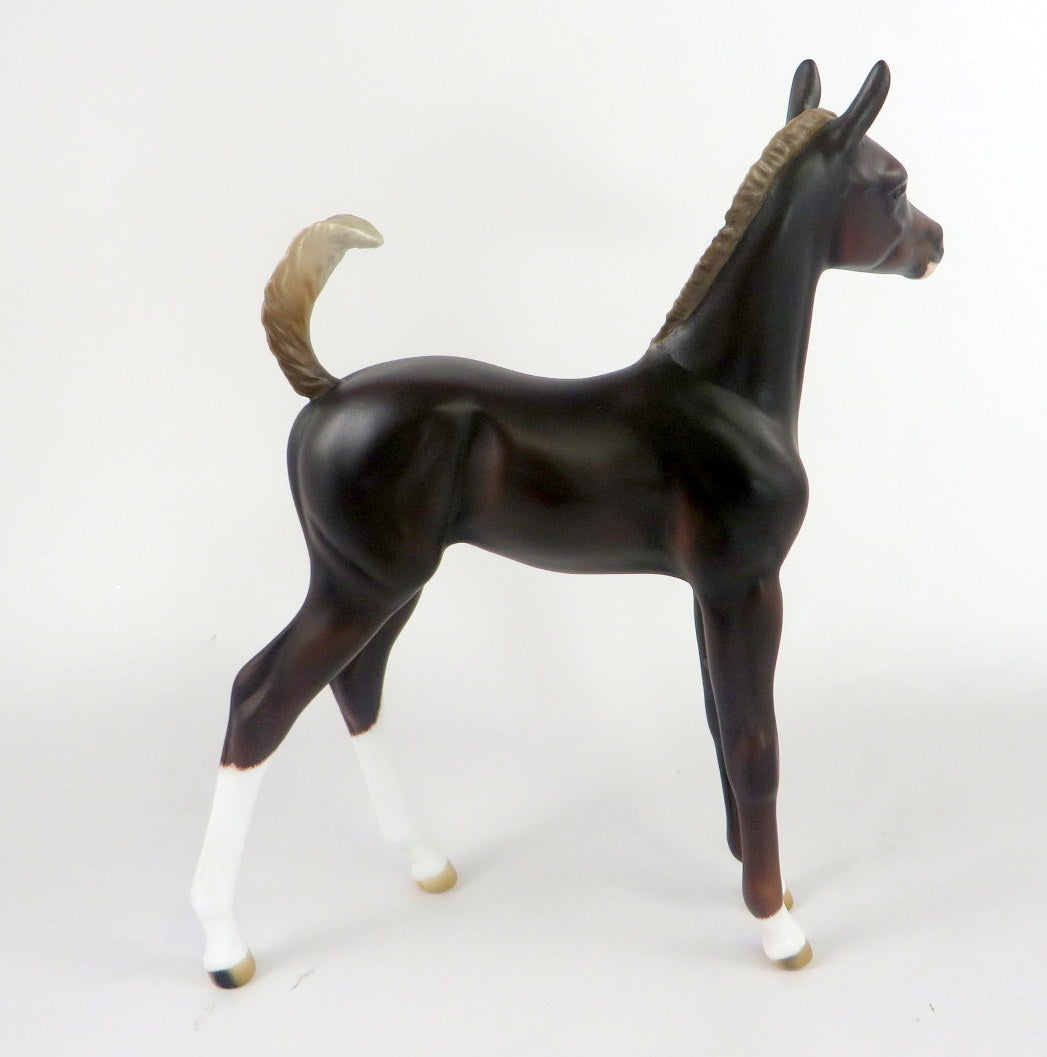 CLOVER-OOAK LIVER CHESTNUT ARABIAN FOAL WHS19