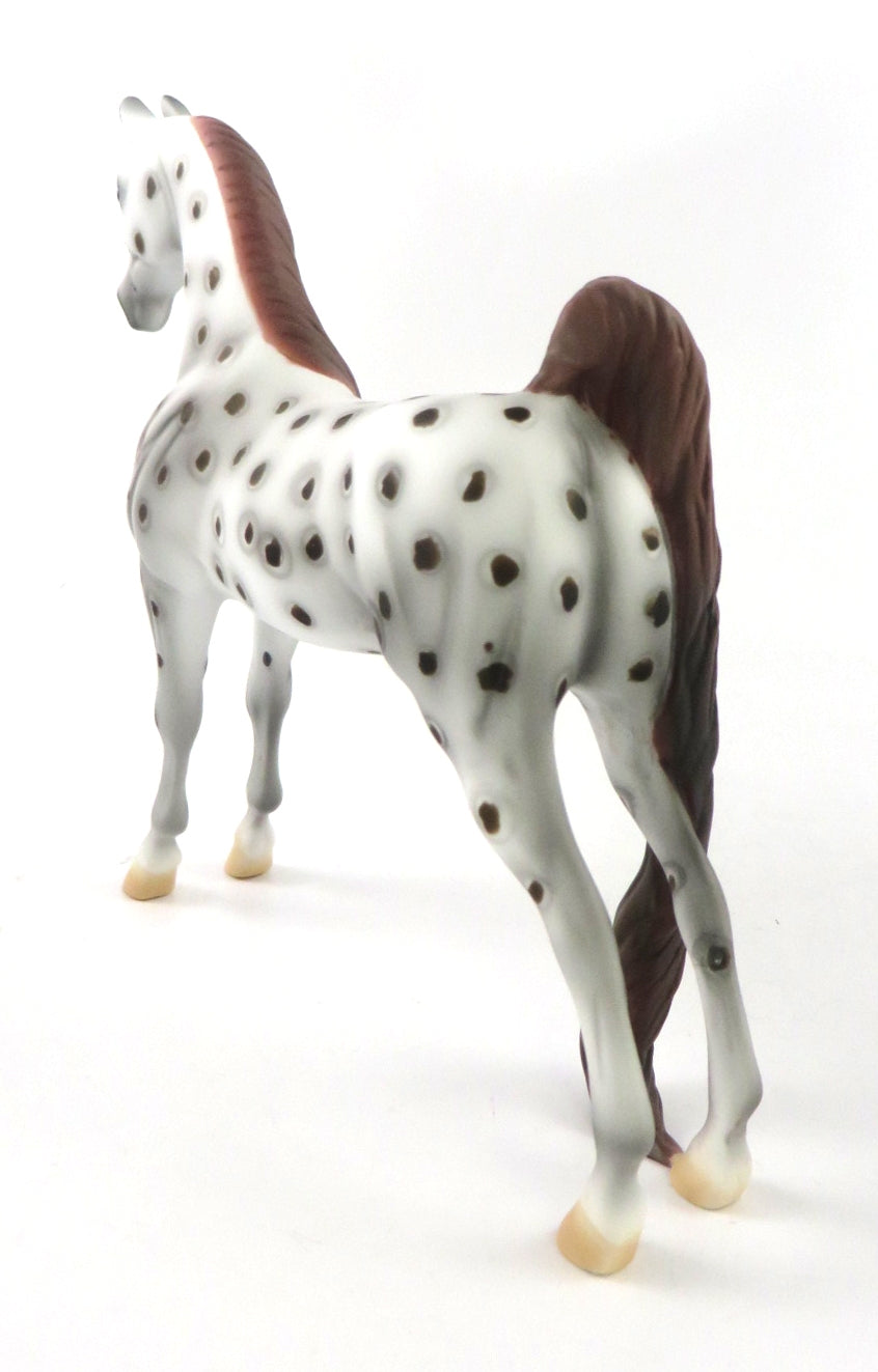 COCOA - OOAK CHESTNUT LEOPARD APPY SADDLEBRED PEBBLE  BY AL KATT WHS19