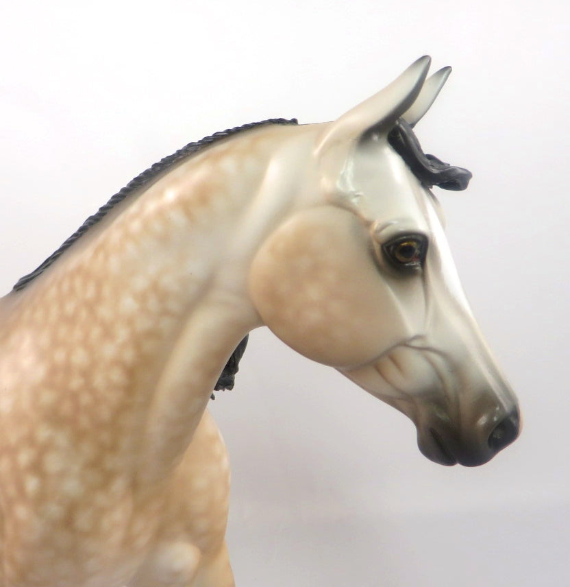 COLLEEN-OOAK STAR DAPPLE PALE PALOUSE MODEL HORSE BY SHERYL LEISURE SB20