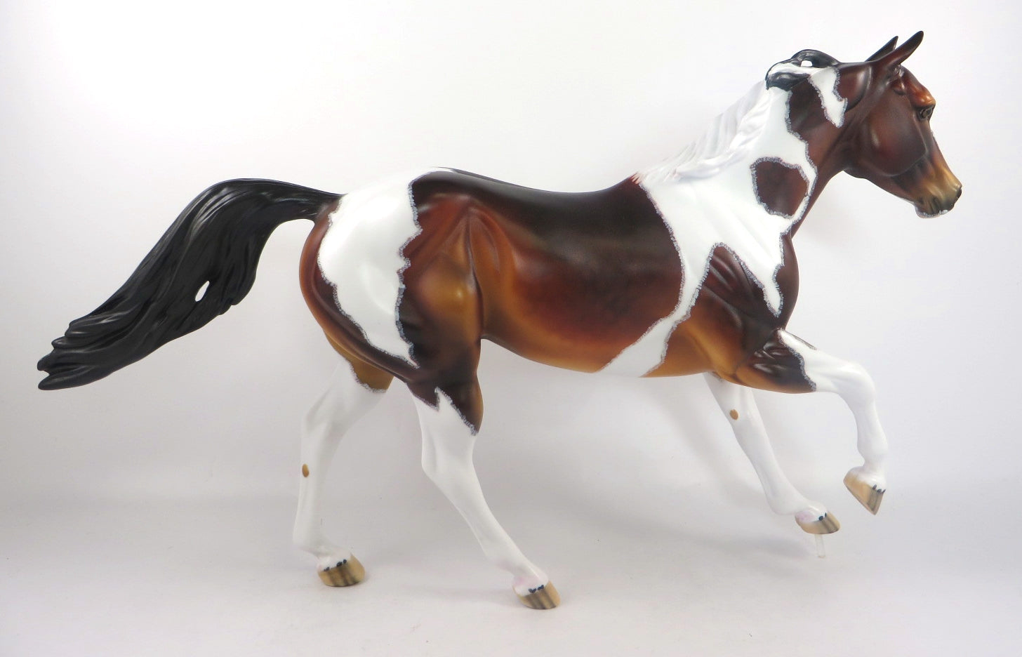 COLOR ME BAD-OOAK DAPPLE BAY PINTO FOUNDATION RUNNING QUARTER HORSE SB 20