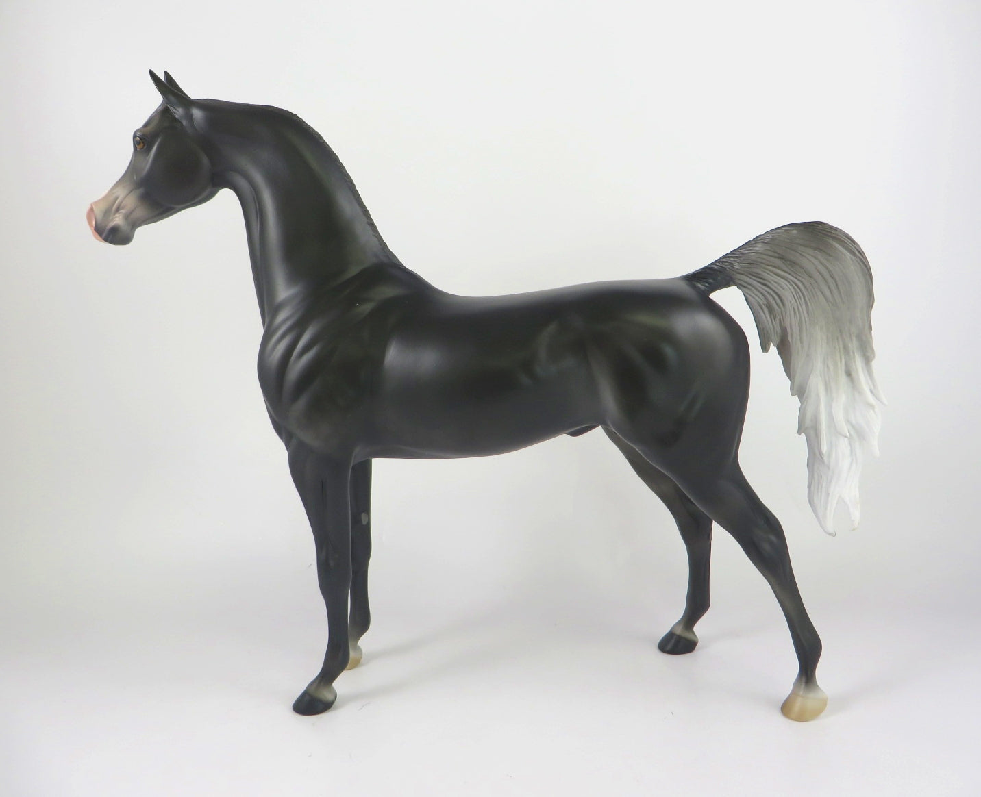 arabian
