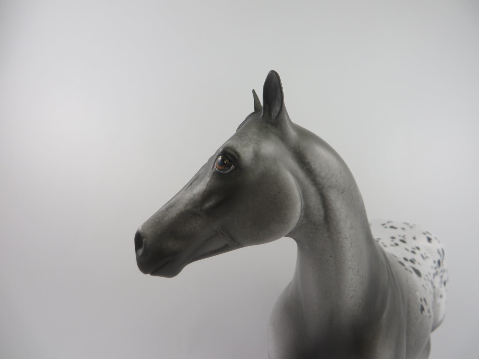 COOKIE CRUNCH -  OOAK GREY APPALOOSA ISH BY DAWN QUICK PJ20