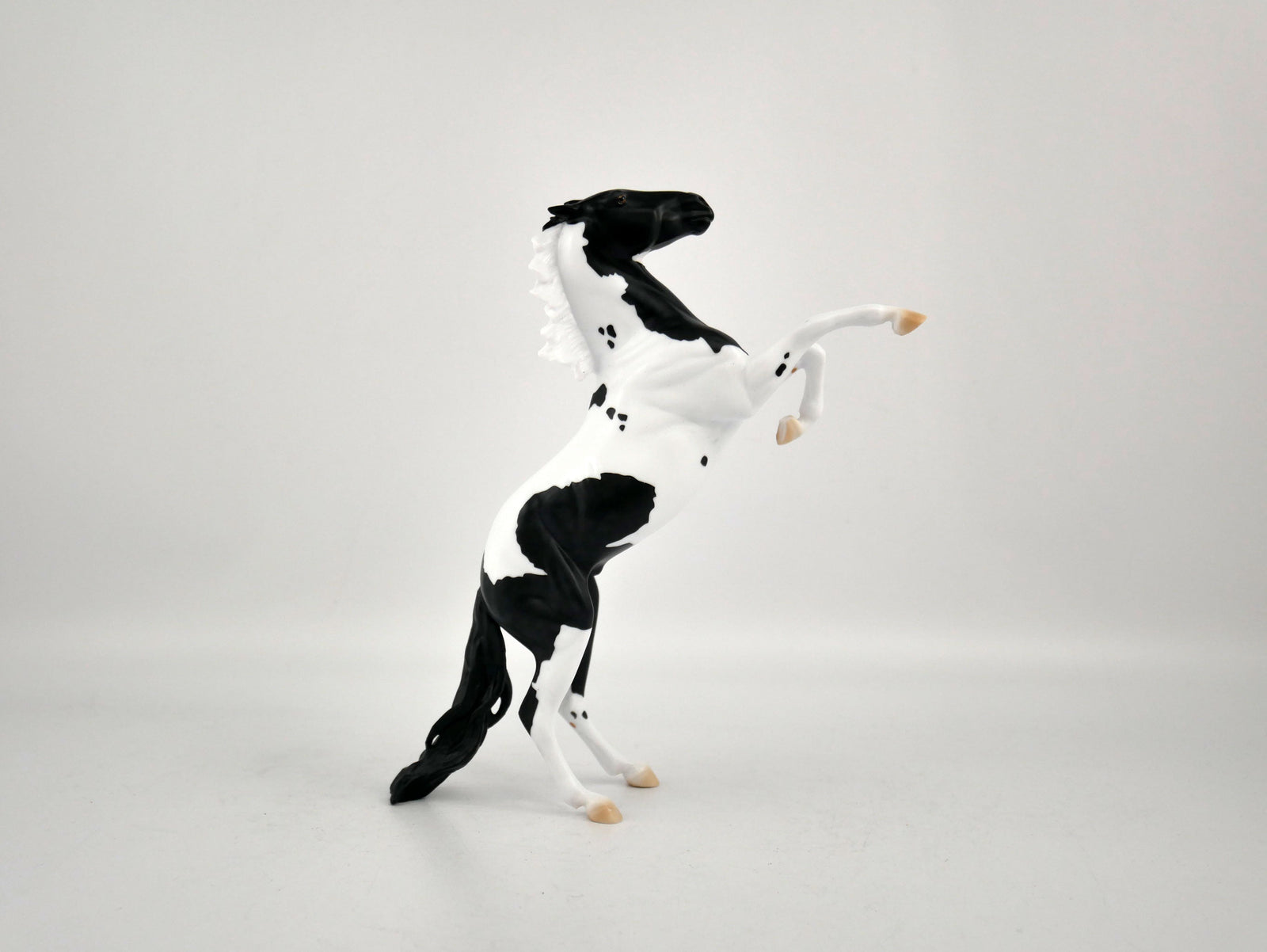 COOKIES AND MILK-OOAK BLACK TOBIANO REARING PEBBLES BY ELLEN ROBBINS 12/09/20