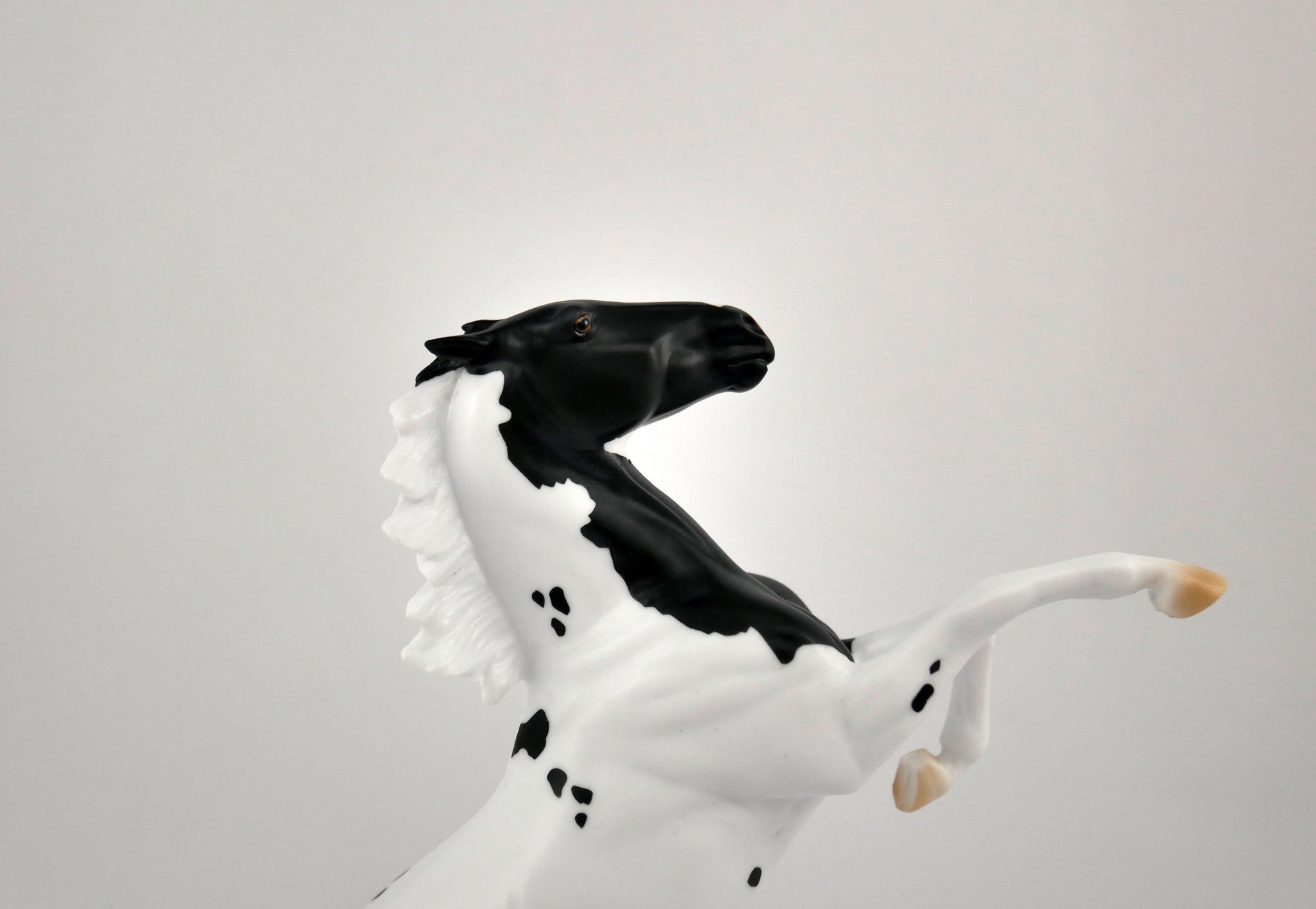 COOKIES AND MILK-OOAK BLACK TOBIANO REARING PEBBLES BY ELLEN ROBBINS 12/09/20