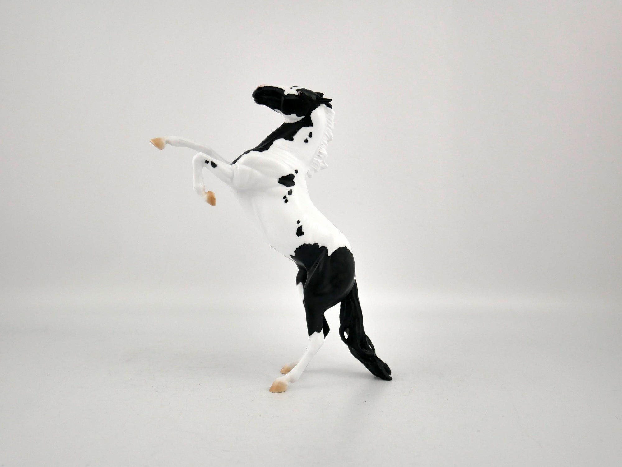 COOKIES AND MILK-OOAK BLACK TOBIANO REARING PEBBLES BY ELLEN ROBBINS 12/09/20