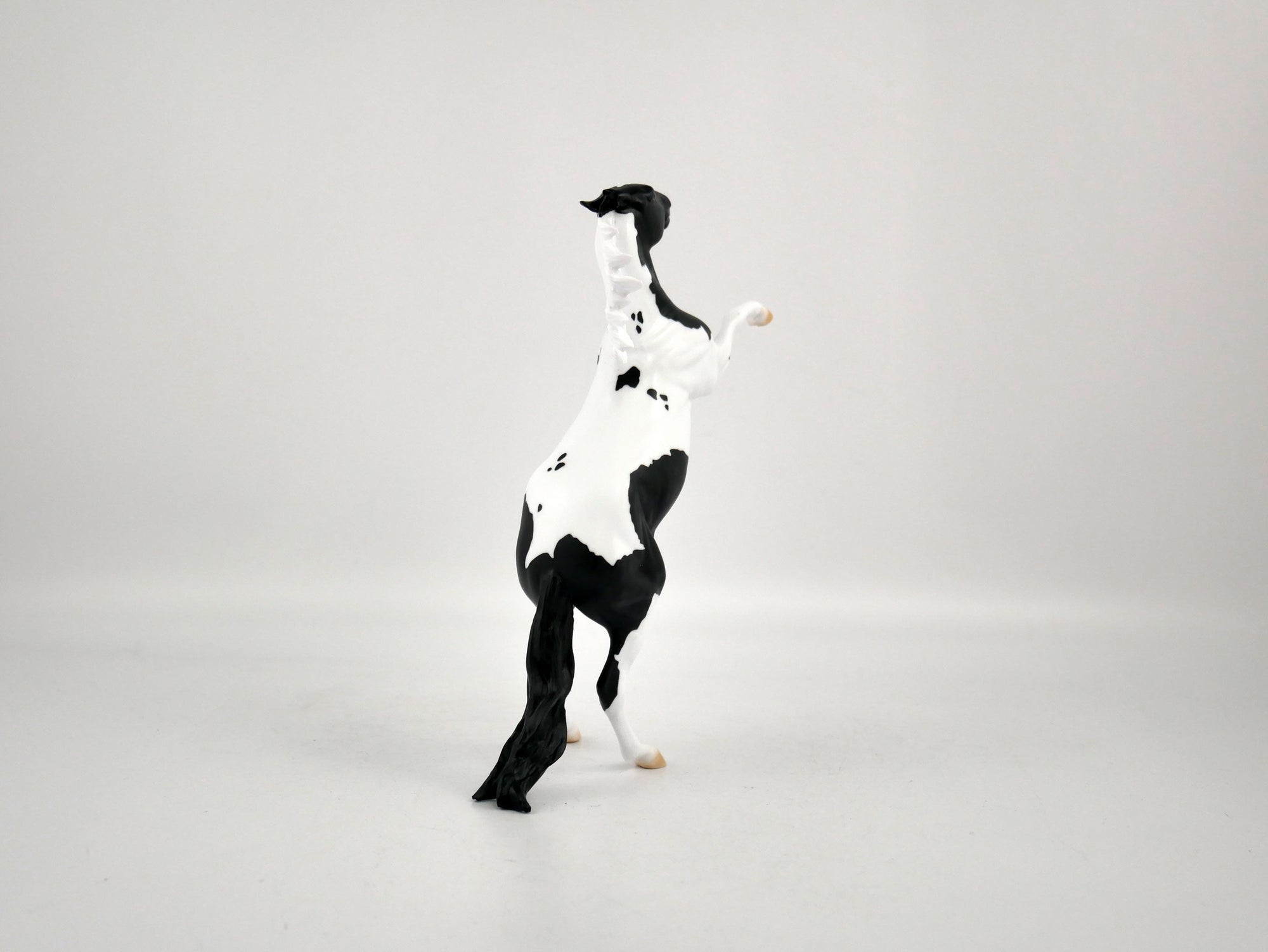 COOKIES AND MILK-OOAK BLACK TOBIANO REARING PEBBLES BY ELLEN ROBBINS 12/09/20