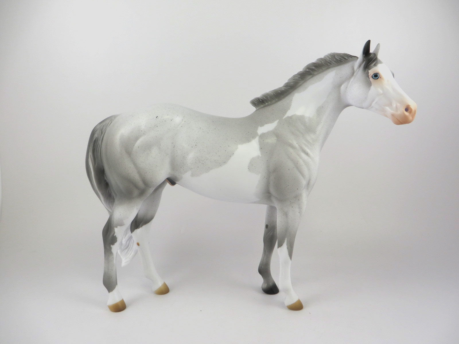 CORNELL - OOAK LIGHT GREY PINTO CM ISH  BY AUDREY DIXON MM19