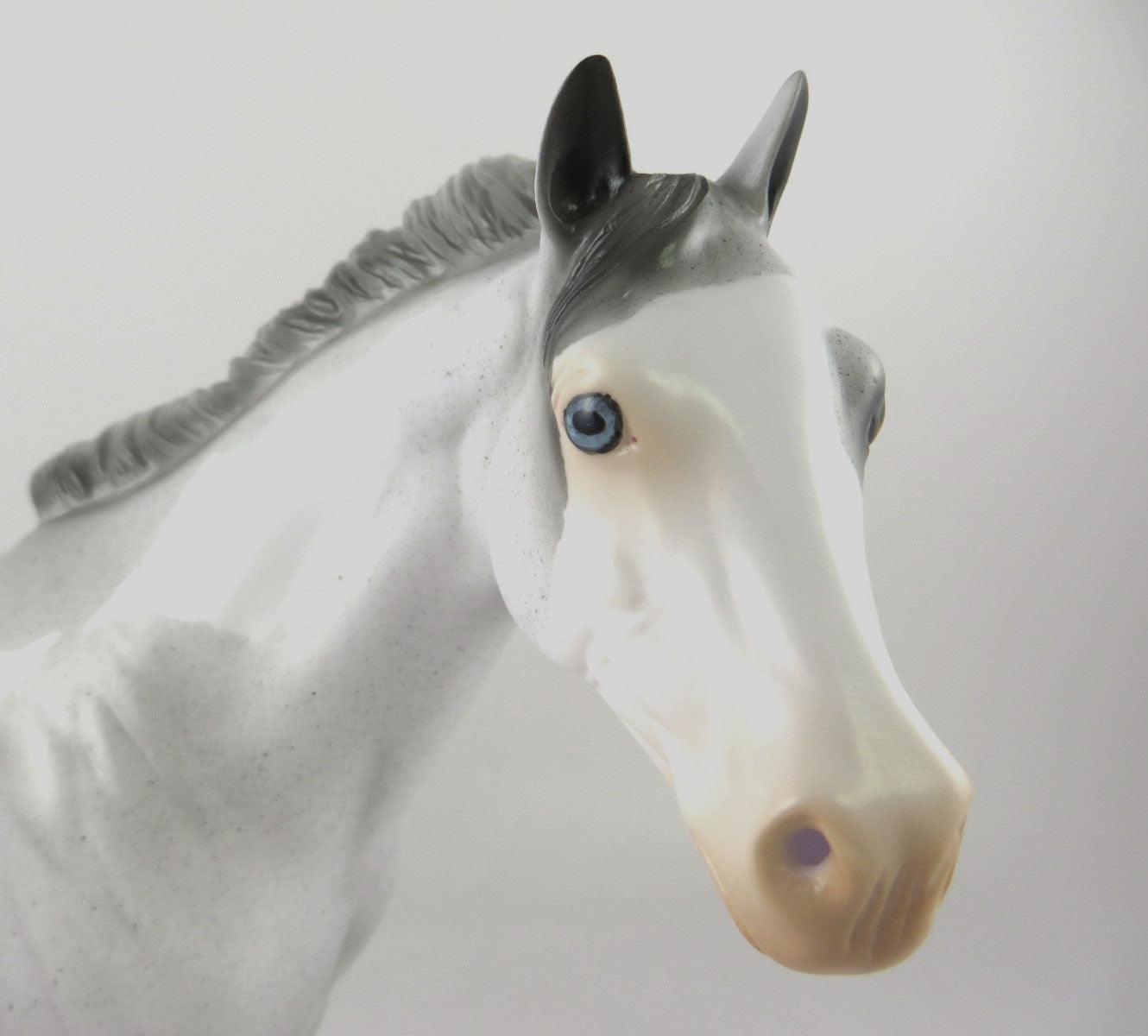 CORNELL - OOAK LIGHT GREY PINTO CM ISH  BY AUDREY DIXON MM19