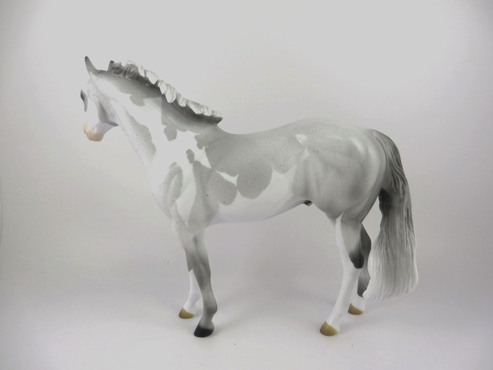 CORNELL - OOAK LIGHT GREY PINTO CM ISH  BY AUDREY DIXON MM19