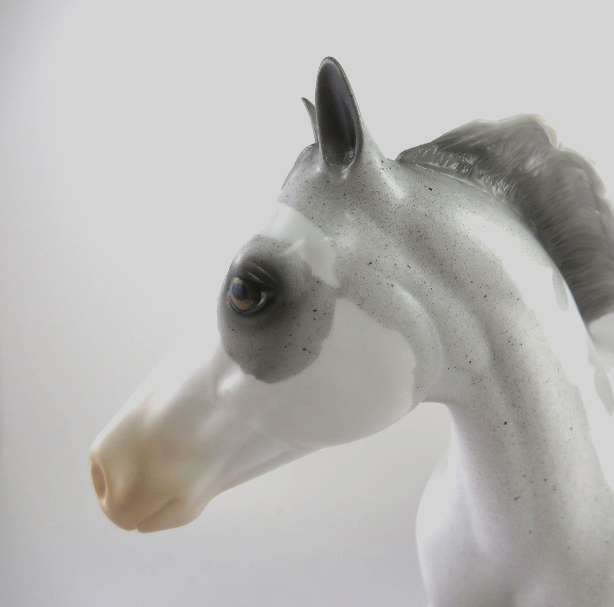 CORNELL - OOAK LIGHT GREY PINTO CM ISH  BY AUDREY DIXON MM19