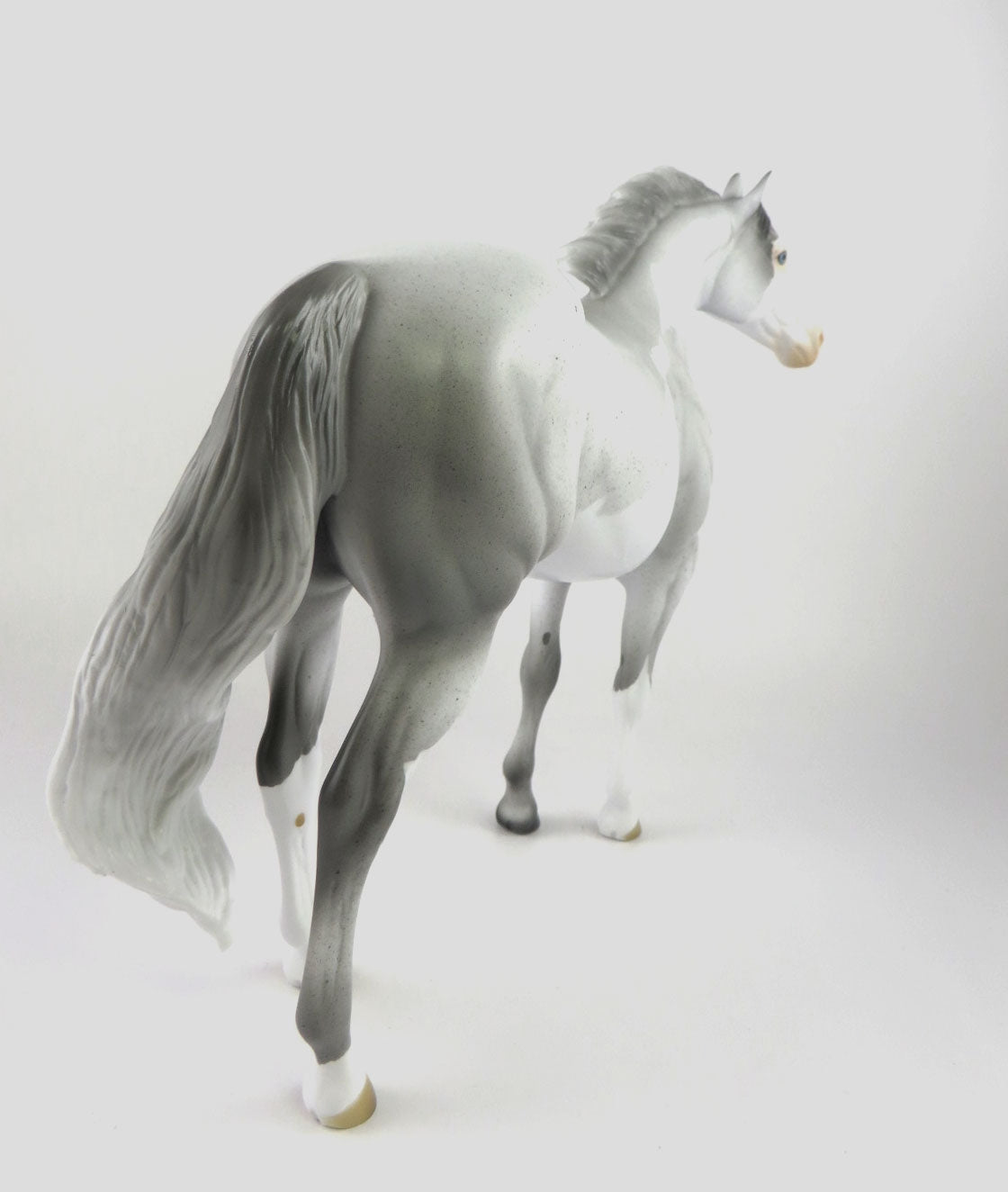 CORNELL - OOAK LIGHT GREY PINTO CM ISH  BY AUDREY DIXON MM19