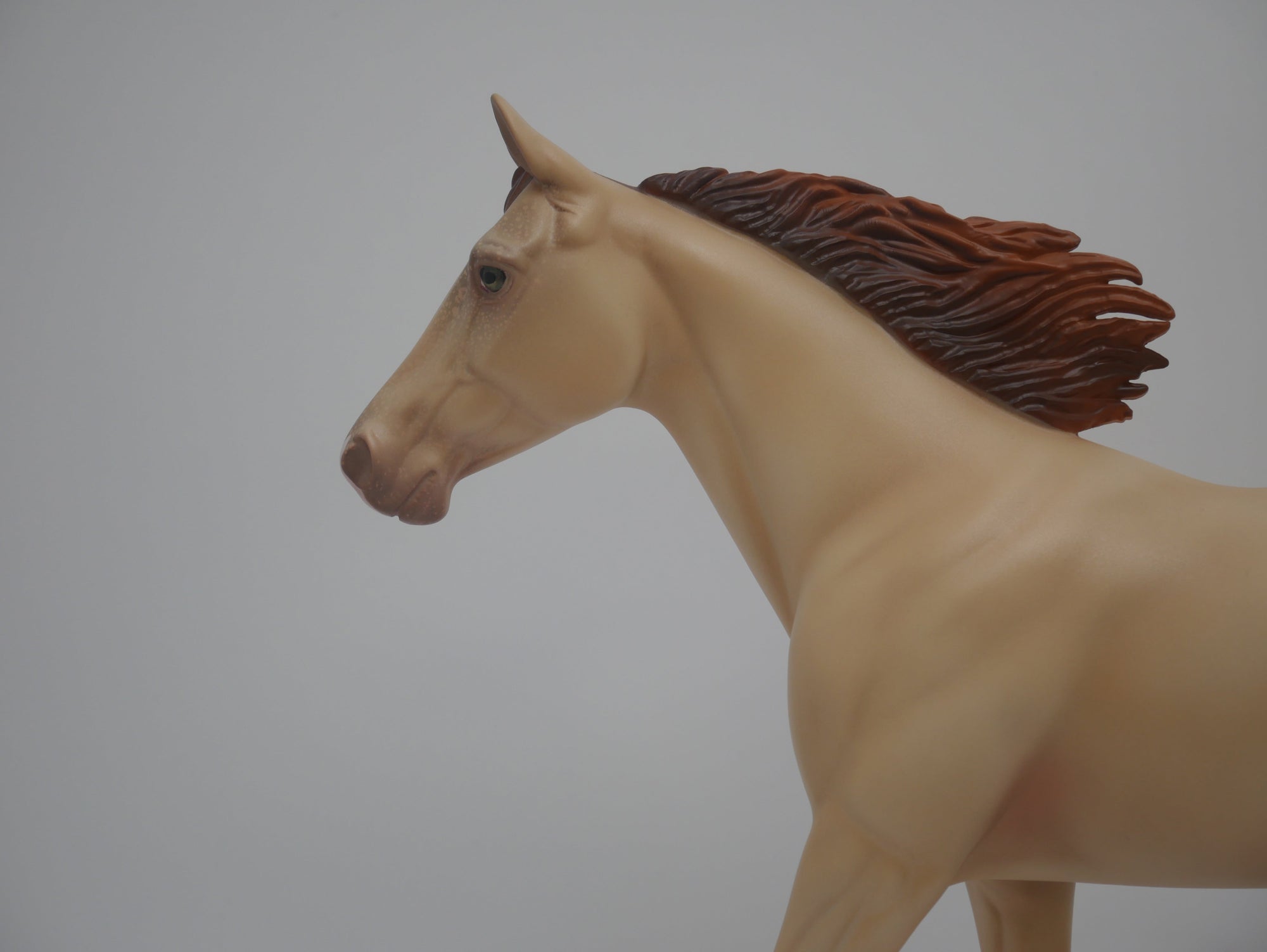 CORN HUSKER-LE-16 CUSTOM CHAMPAGNE PALOUSE 3/24/20