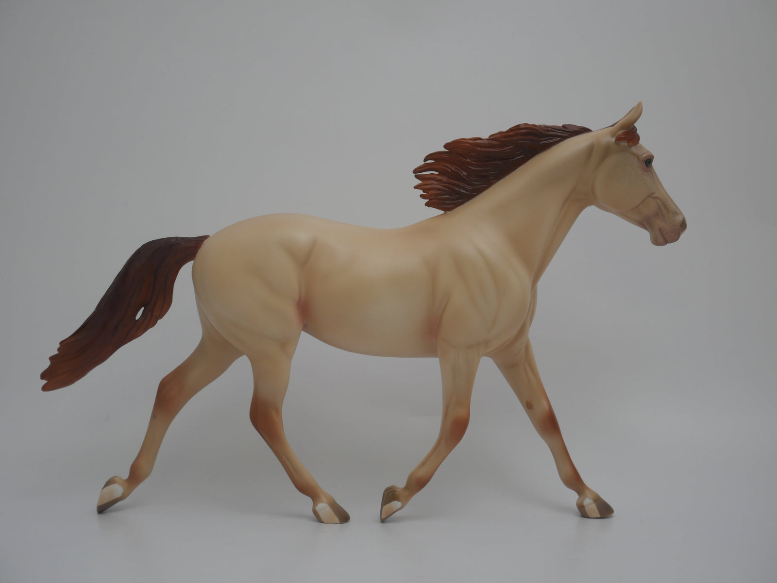 CORN HUSKER-LE-16 CUSTOM CHAMPAGNE PALOUSE 3/24/20