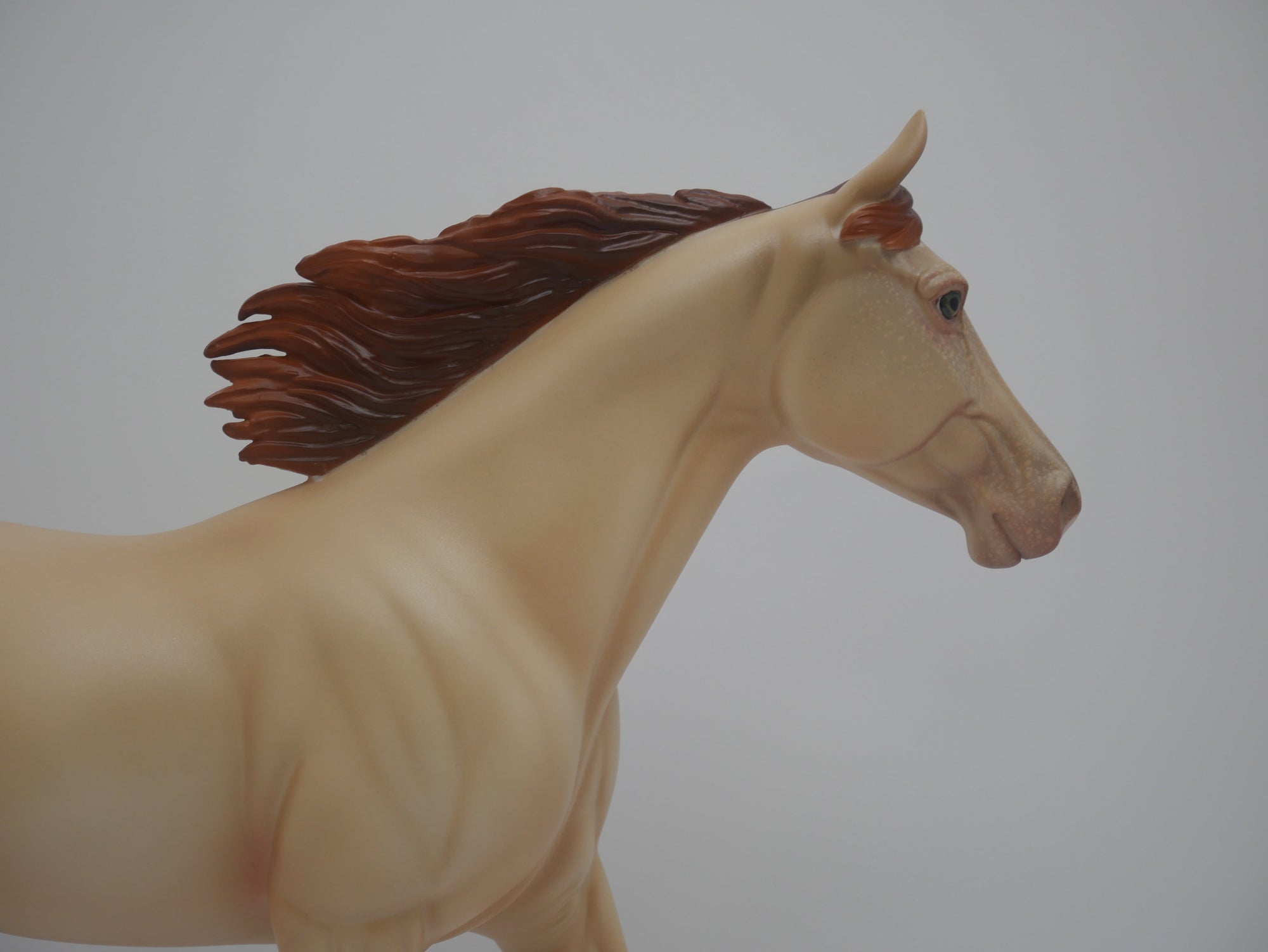 CORN HUSKER-LE-16 CUSTOM CHAMPAGNE PALOUSE 3/24/20