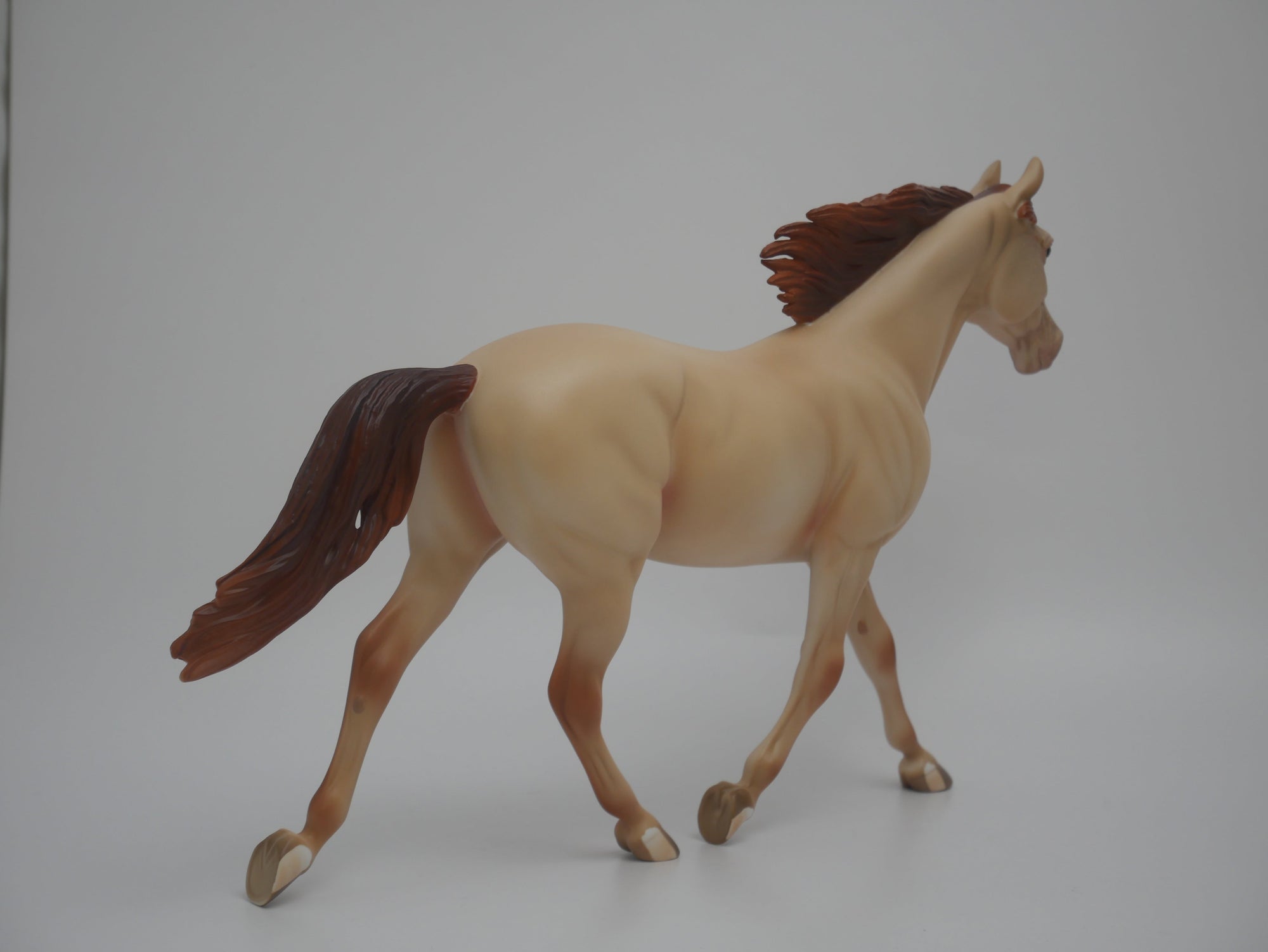 CORN HUSKER-LE-16 CUSTOM CHAMPAGNE PALOUSE 3/24/20