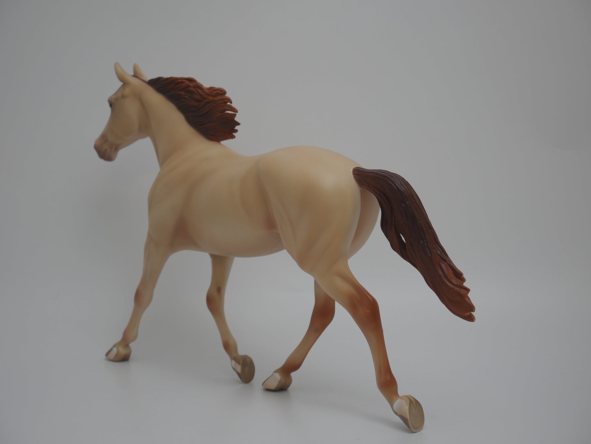 CORN HUSKER-LE-16 CUSTOM CHAMPAGNE PALOUSE 3/24/20