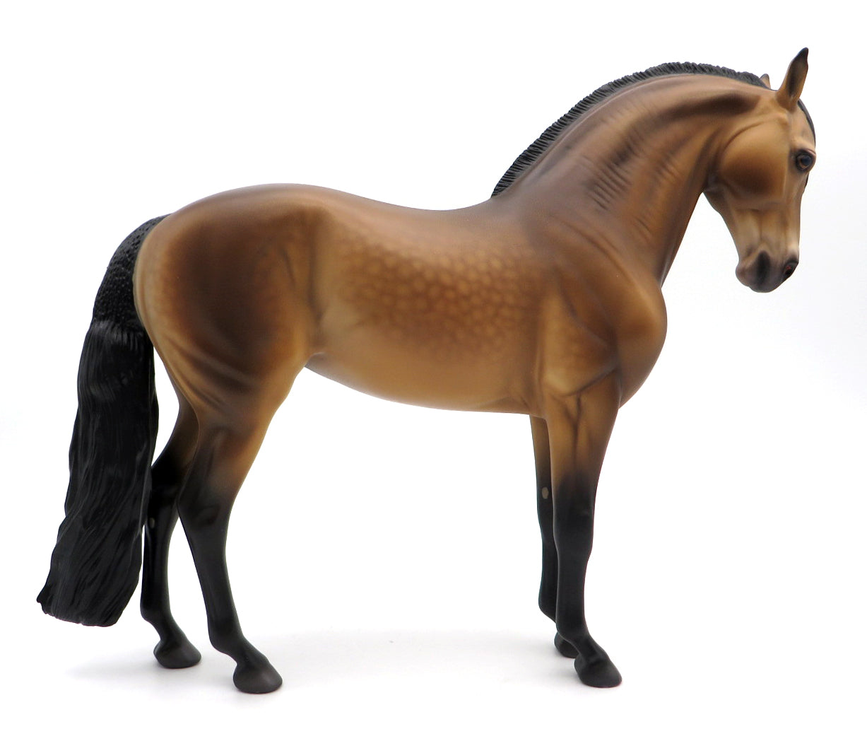 Corona-OOAK Buckskin Andalusian by Caroline Boydston 10/11/21