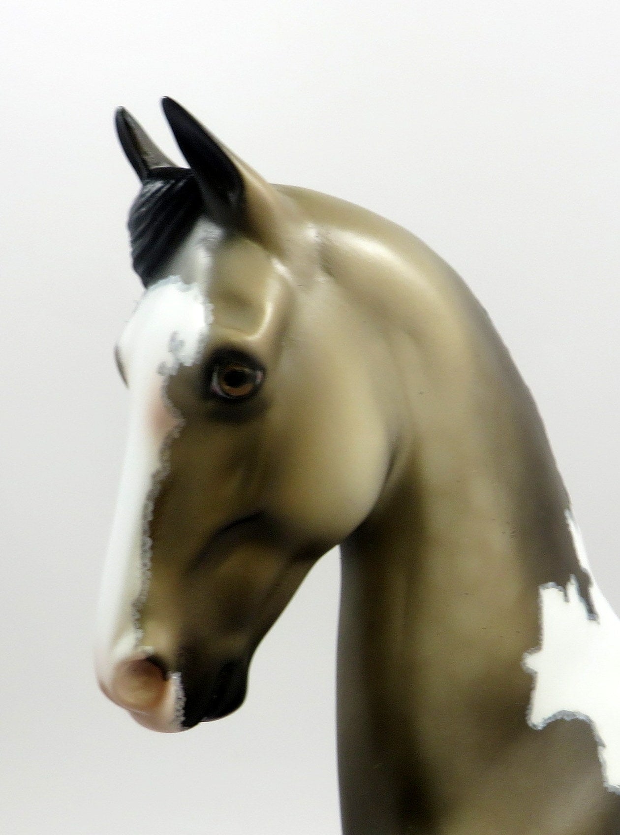 COURTYARD -OOAK  SOOTY BUCKSKIN SADDLEBRED BY DAWN QUICK MODEL HORSE EQ19