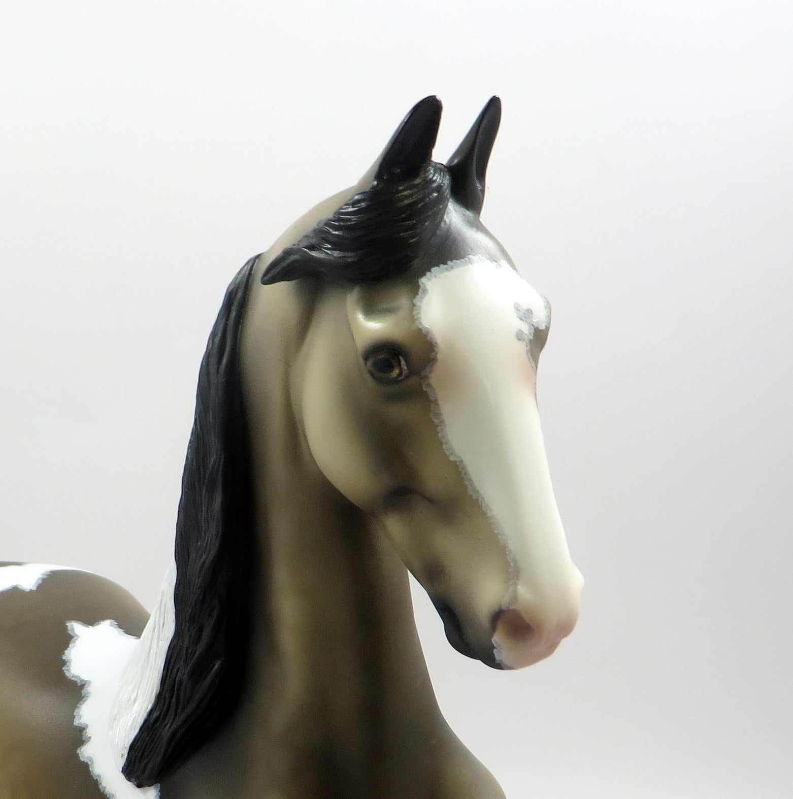 COURTYARD -OOAK  SOOTY BUCKSKIN SADDLEBRED BY DAWN QUICK MODEL HORSE EQ19