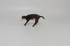 INTERCEPTION -OOAK-RED DUN OVERO CUTTER AND BROWN CALF BY AUDREY DIXON SB19