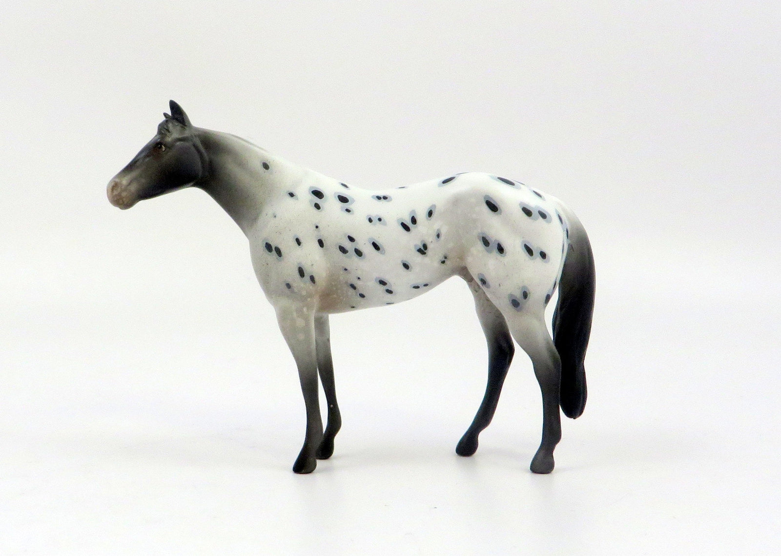 CREST-OOAK LOUD APPALOOSA STOCK HORSE CHIP MODEL HORSE EQ 19