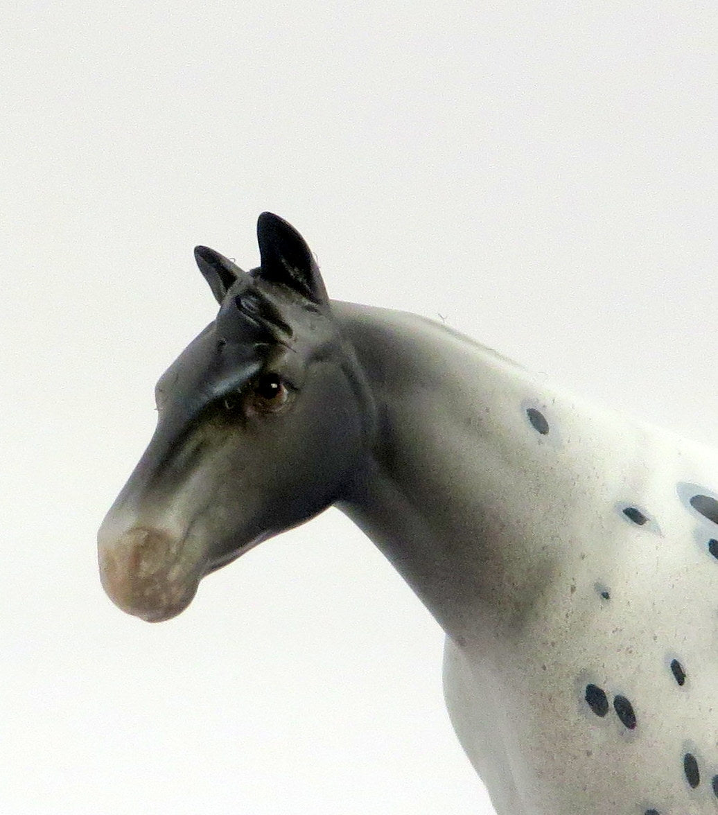 CREST-OOAK LOUD APPALOOSA STOCK HORSE CHIP MODEL HORSE EQ 19