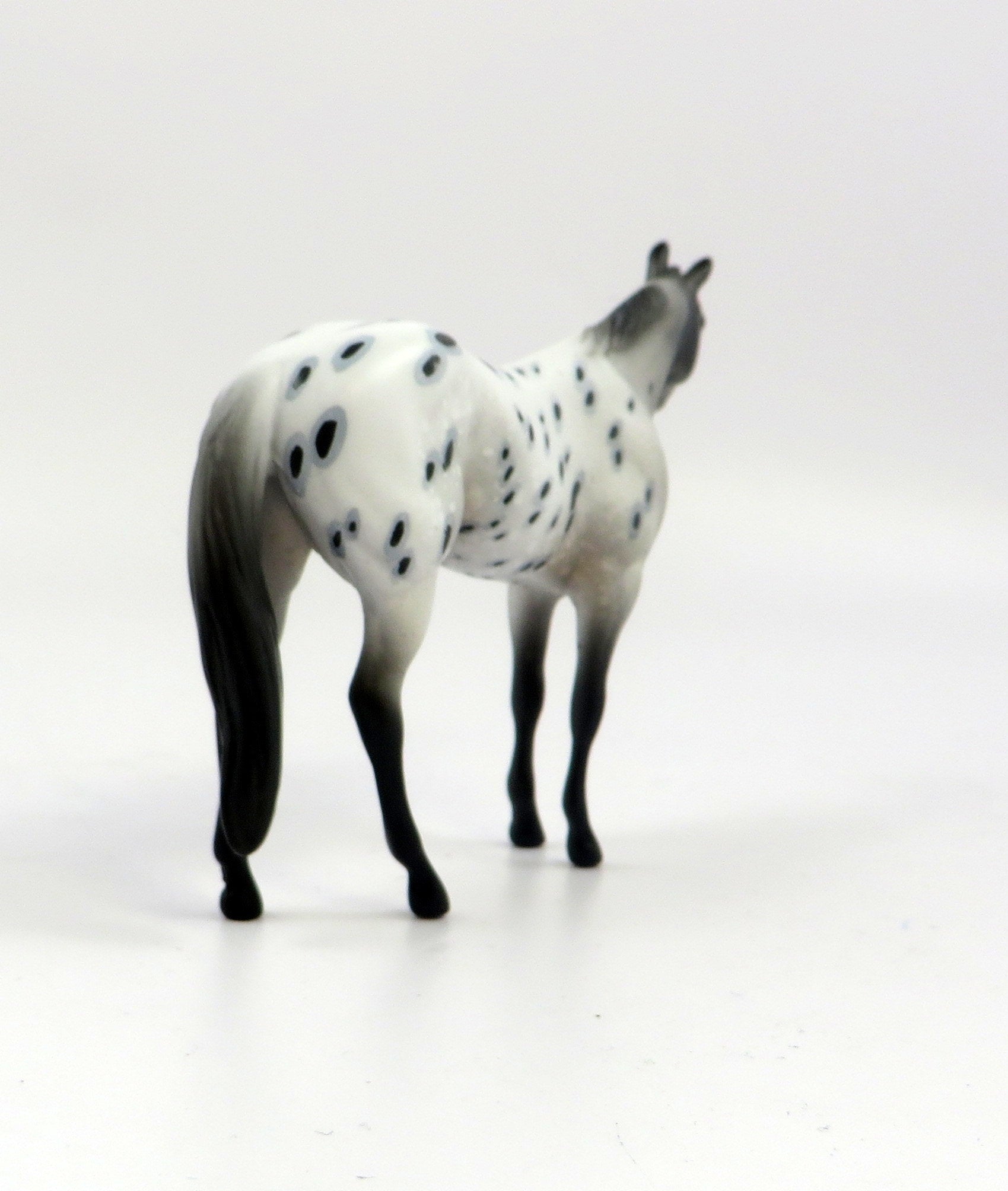 CREST-OOAK LOUD APPALOOSA STOCK HORSE CHIP MODEL HORSE EQ 19