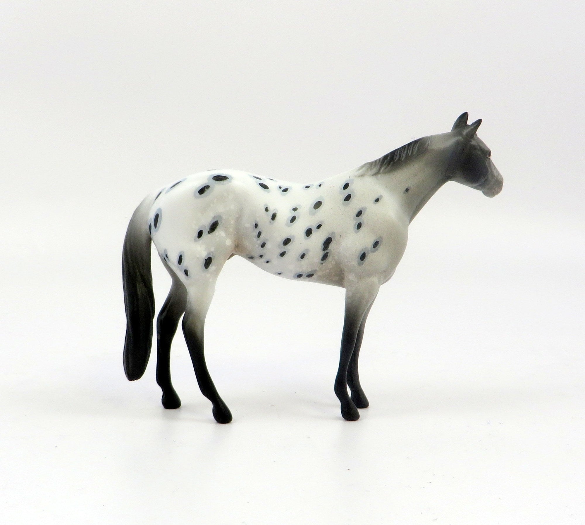 CREST-OOAK LOUD APPALOOSA STOCK HORSE CHIP MODEL HORSE EQ 19
