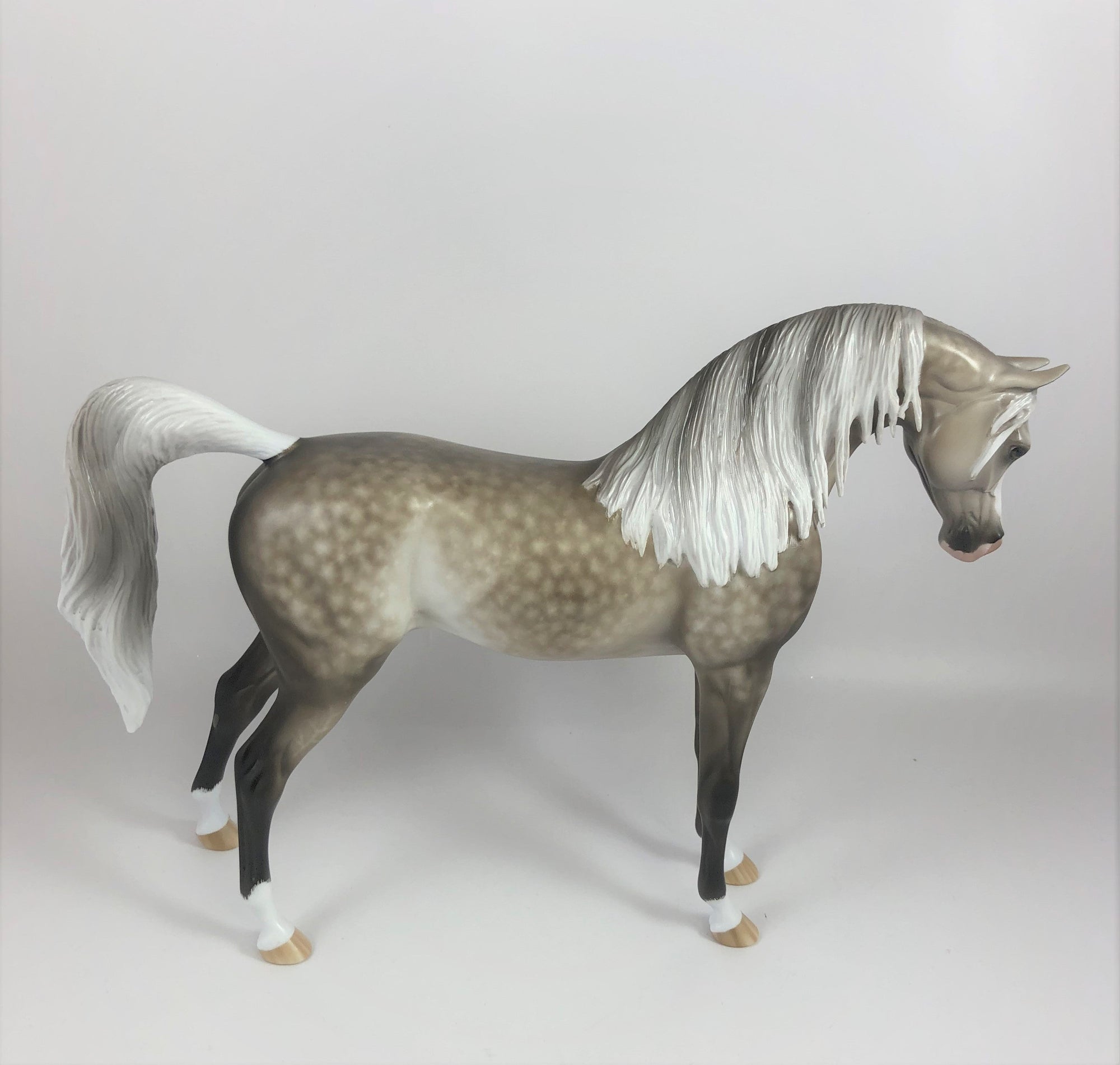 CRISP MORNING-OOAK STAR DAPPLE GREY ARABIAN MODEL HORSE BY SHERYL LEISURE LHS 19