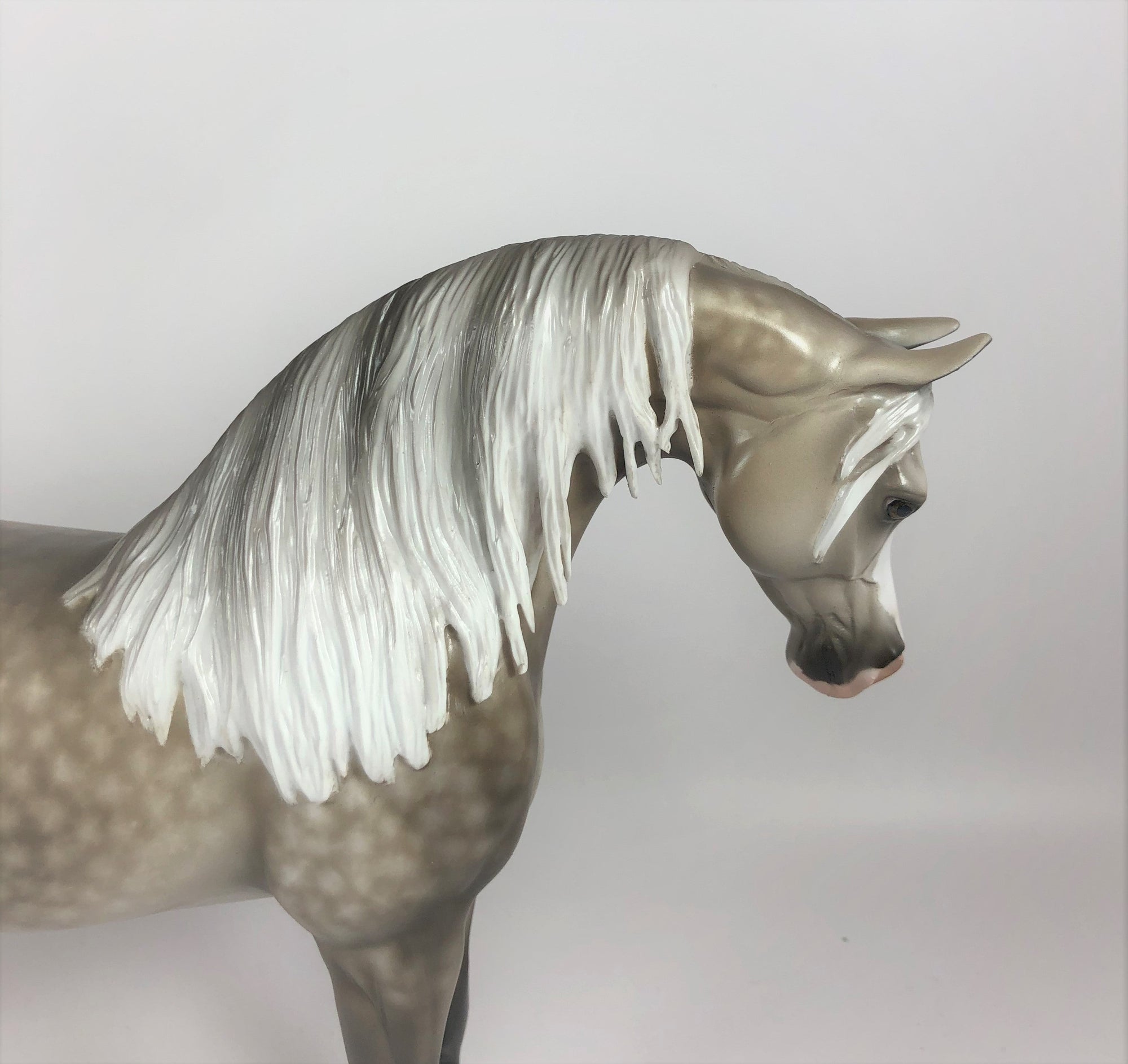 CRISP MORNING-OOAK STAR DAPPLE GREY ARABIAN MODEL HORSE BY SHERYL LEISURE LHS 19