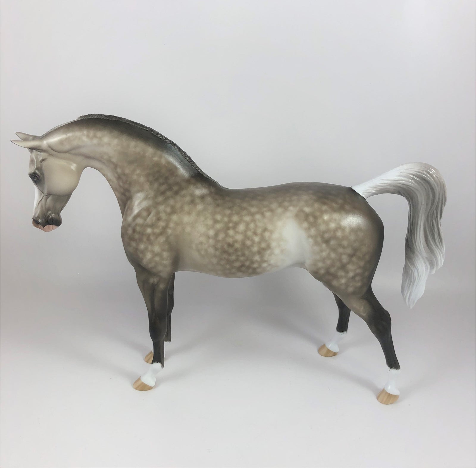 CRISP MORNING-OOAK STAR DAPPLE GREY ARABIAN MODEL HORSE BY SHERYL LEISURE LHS 19