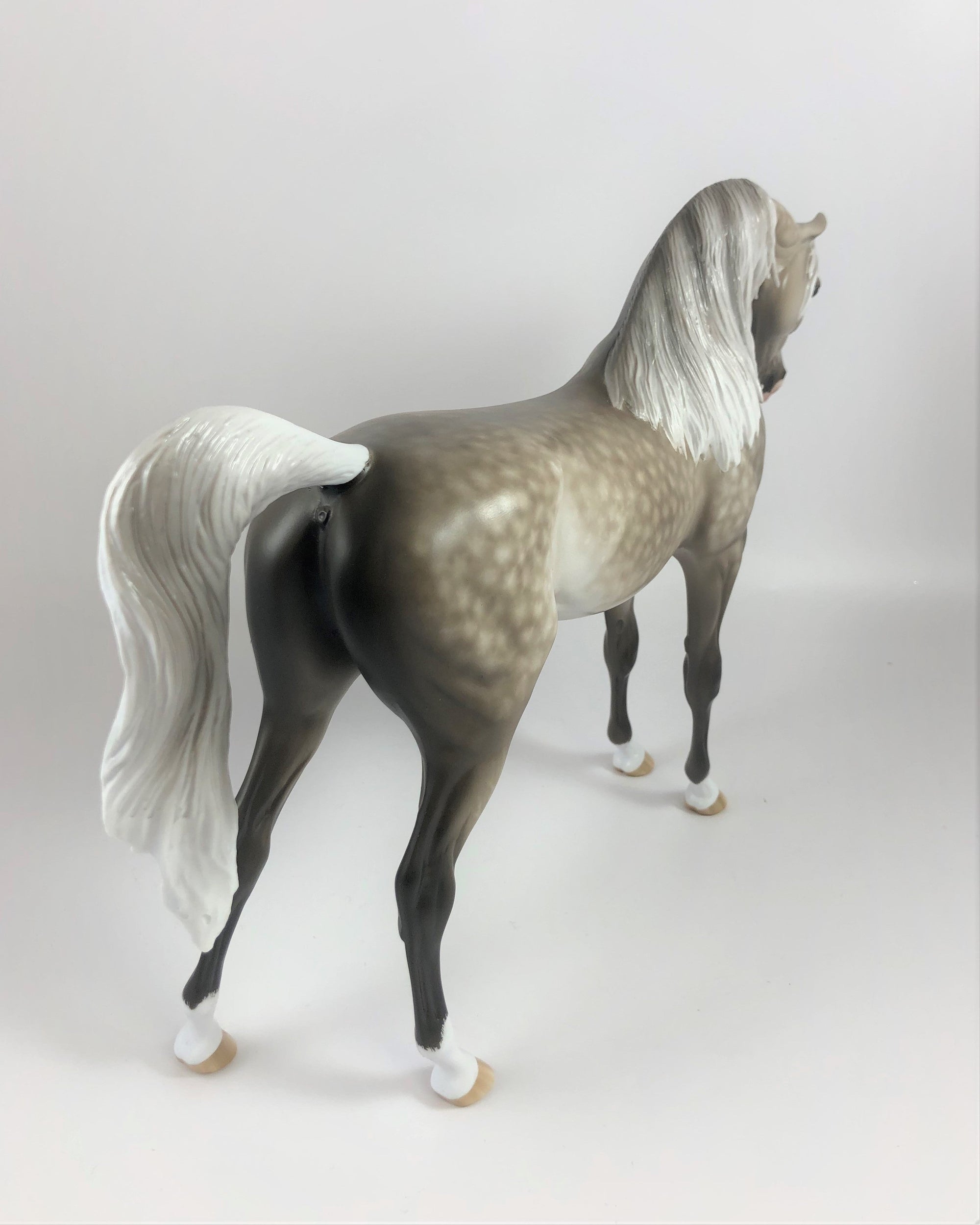 CRISP MORNING-OOAK STAR DAPPLE GREY ARABIAN MODEL HORSE BY SHERYL LEISURE LHS 19