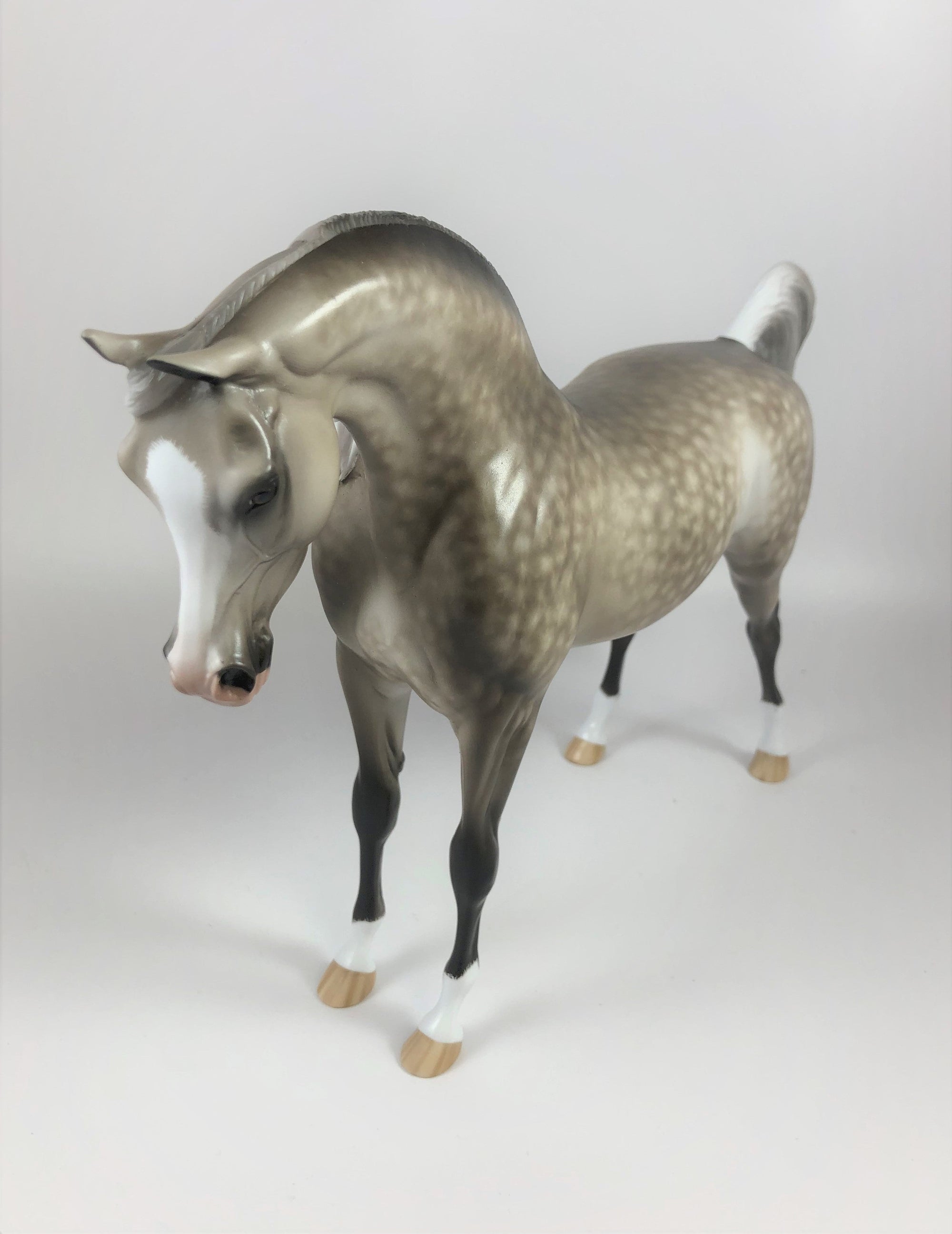 CRISP MORNING-OOAK STAR DAPPLE GREY ARABIAN MODEL HORSE BY SHERYL LEISURE LHS 19