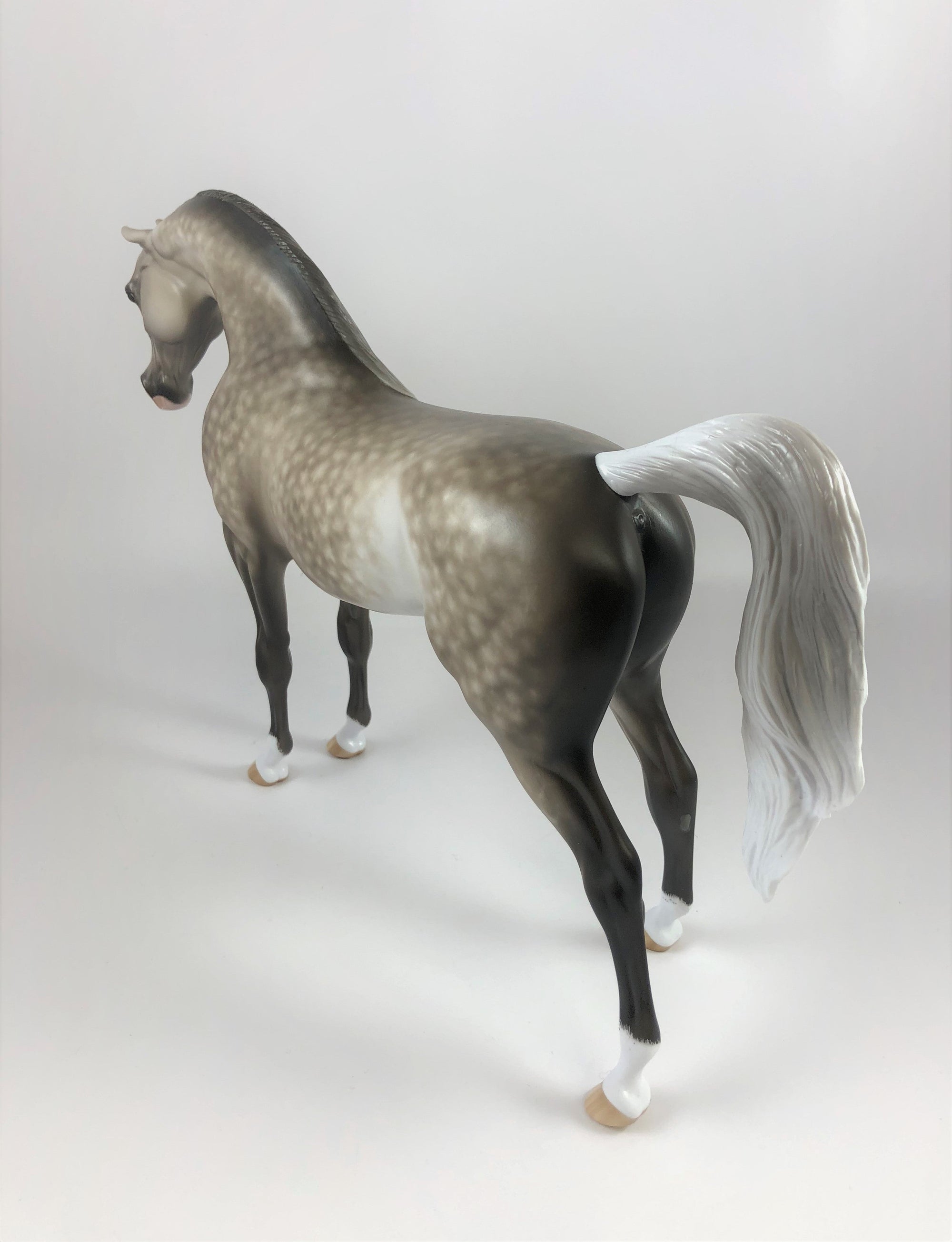 CRISP MORNING-OOAK STAR DAPPLE GREY ARABIAN MODEL HORSE BY SHERYL LEISURE LHS 19