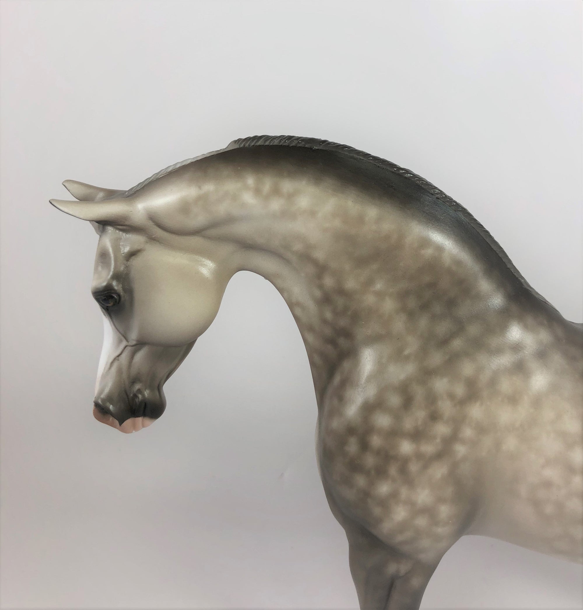 CRISP MORNING-OOAK STAR DAPPLE GREY ARABIAN MODEL HORSE BY SHERYL LEISURE LHS 19