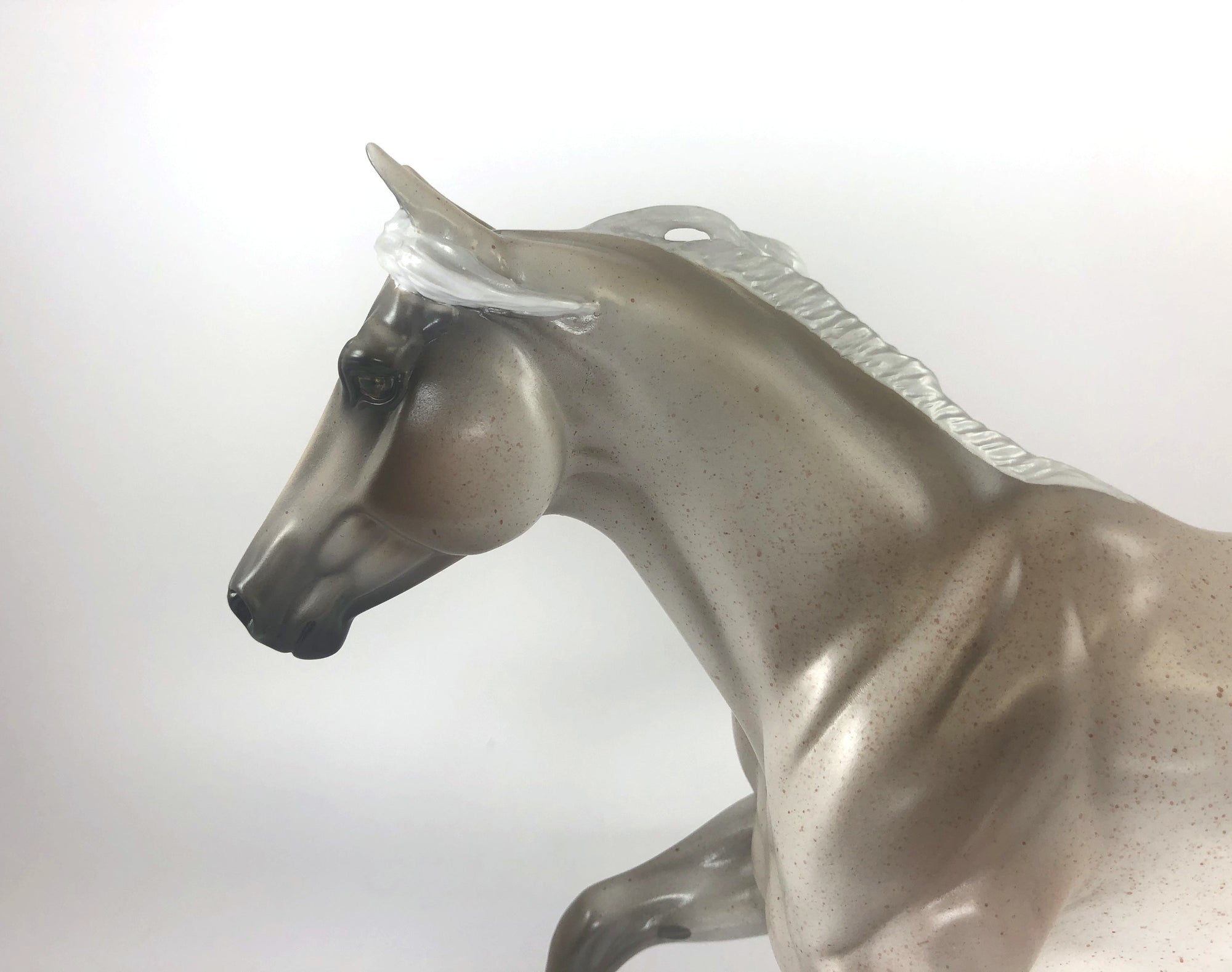 CRYPT KEEPER - LE-15 FLEA BITTEN CHESTNUT FOUNDATION QUARTER HORSE BY KAYLA WESSE MM19