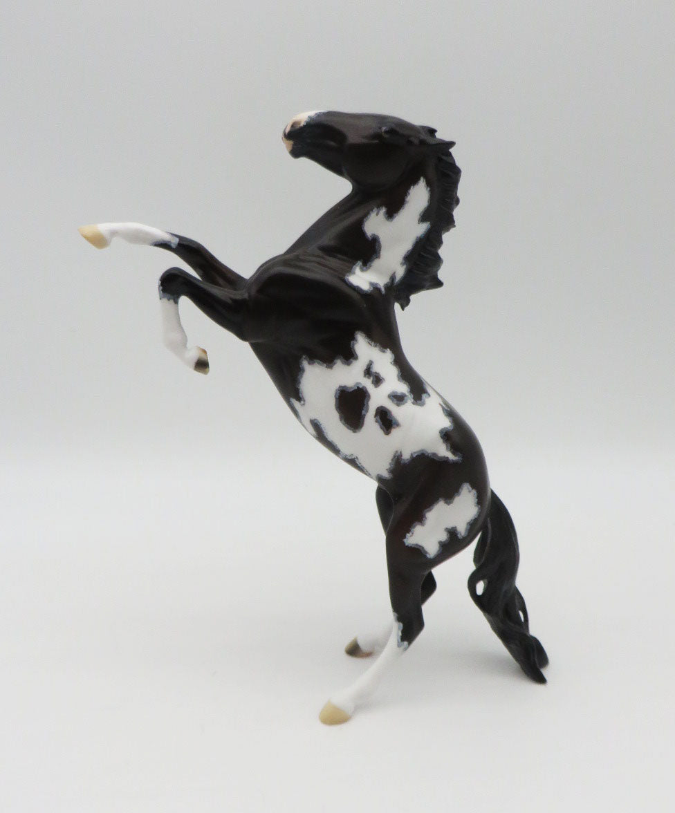 Cub-OOAK Arabian Rearing Pebbles Pinto By Dawn Quick  P&C 23