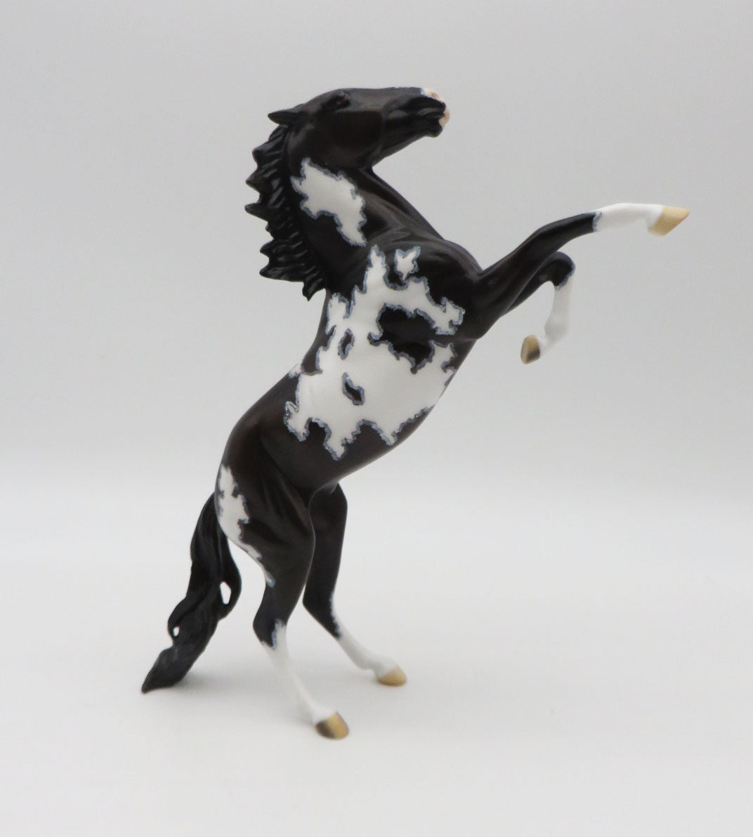 Cub-OOAK Arabian Rearing Pebbles Pinto By Dawn Quick  P&amp;C 23