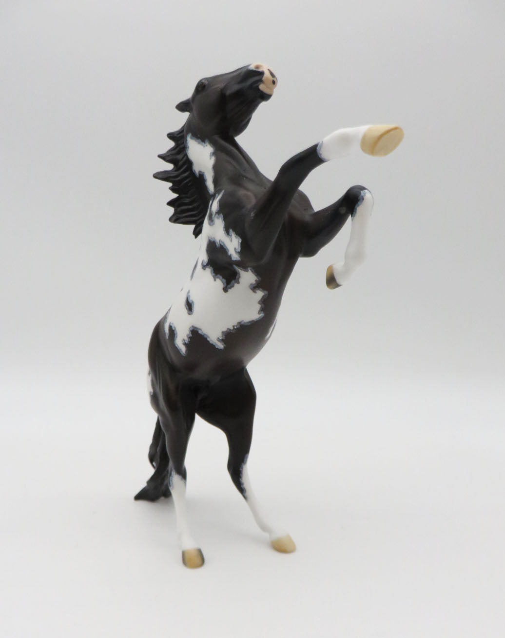 Cub-OOAK Arabian Rearing Pebbles Pinto By Dawn Quick  P&amp;C 23