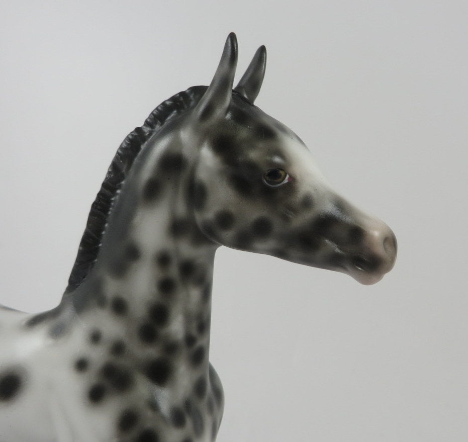 CUTE SPOOK-OOAK LOUD APPALOOSA FOAL BY SHERYL LEISURE MM 2019
