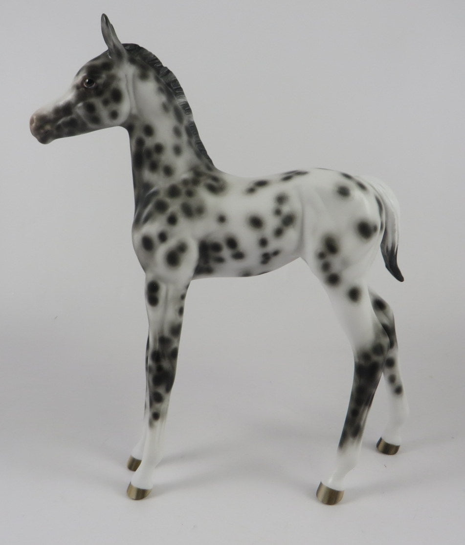 CUTE SPOOK-OOAK LOUD APPALOOSA FOAL BY SHERYL LEISURE MM 2019