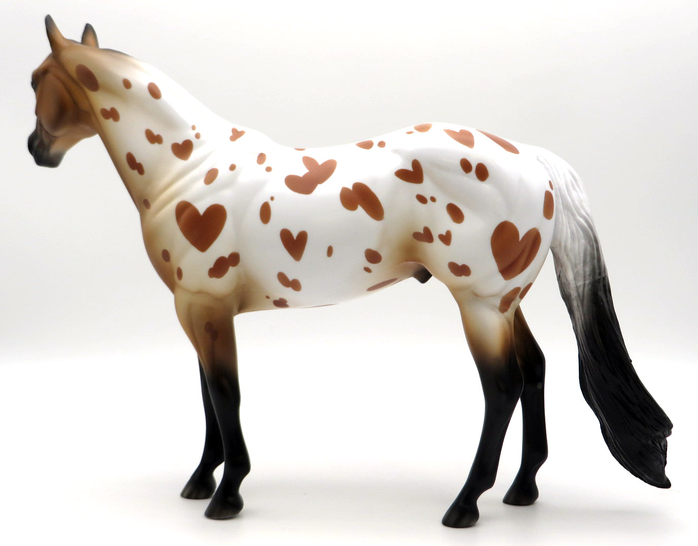 Valentine Appaloosa - Buckskin - DAH Special