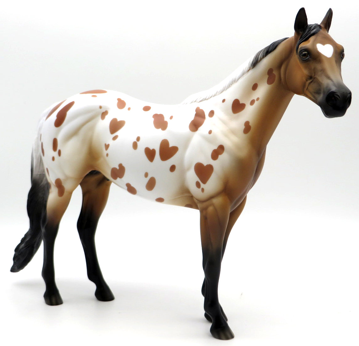 Valentine Appaloosa - Buckskin - DAH Special