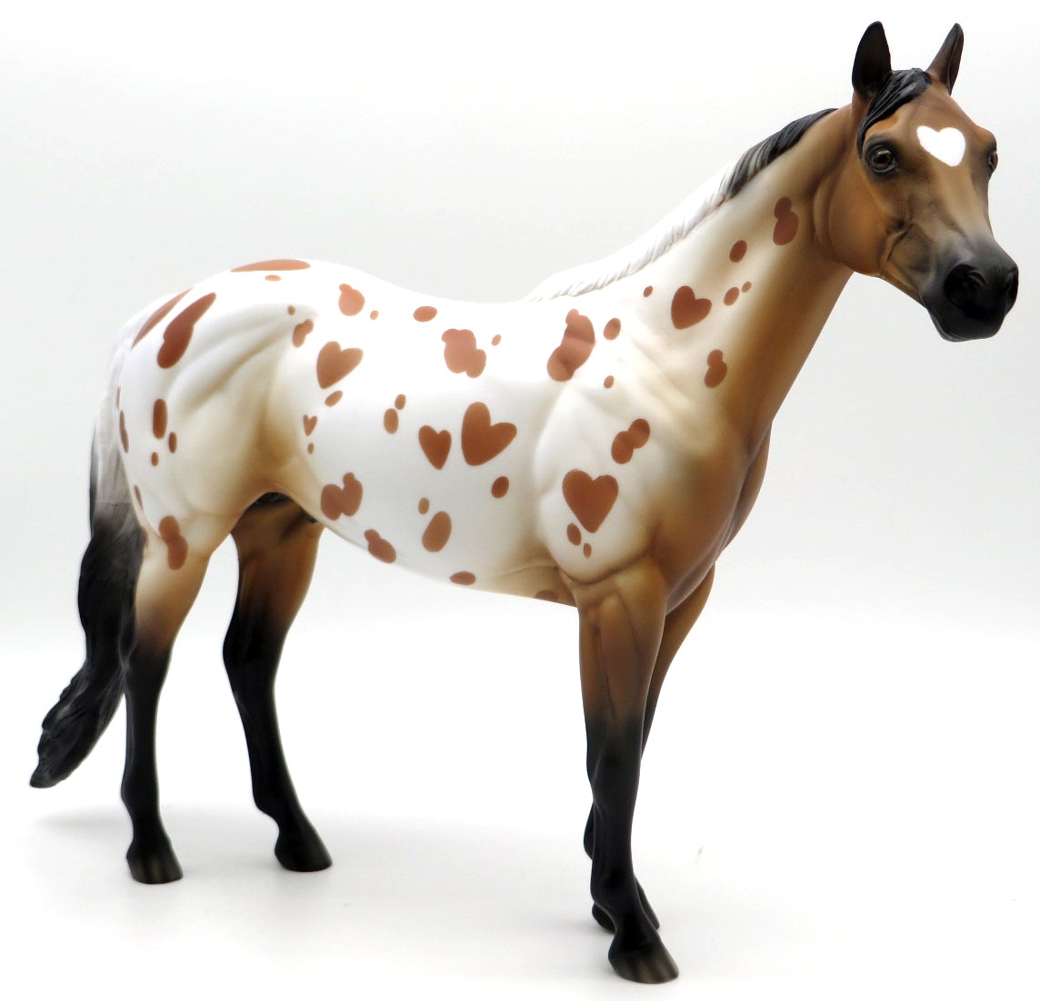 Valentine Appaloosa - Buckskin - DAH Special (2nd Batch)