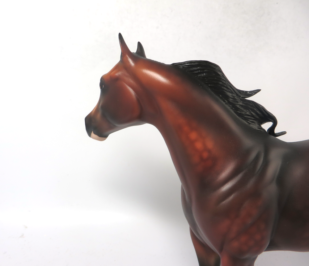 RUFFALO-OOAK DAPPLE BAY ISH CUSTOM BY AUDREY DIXON MW19