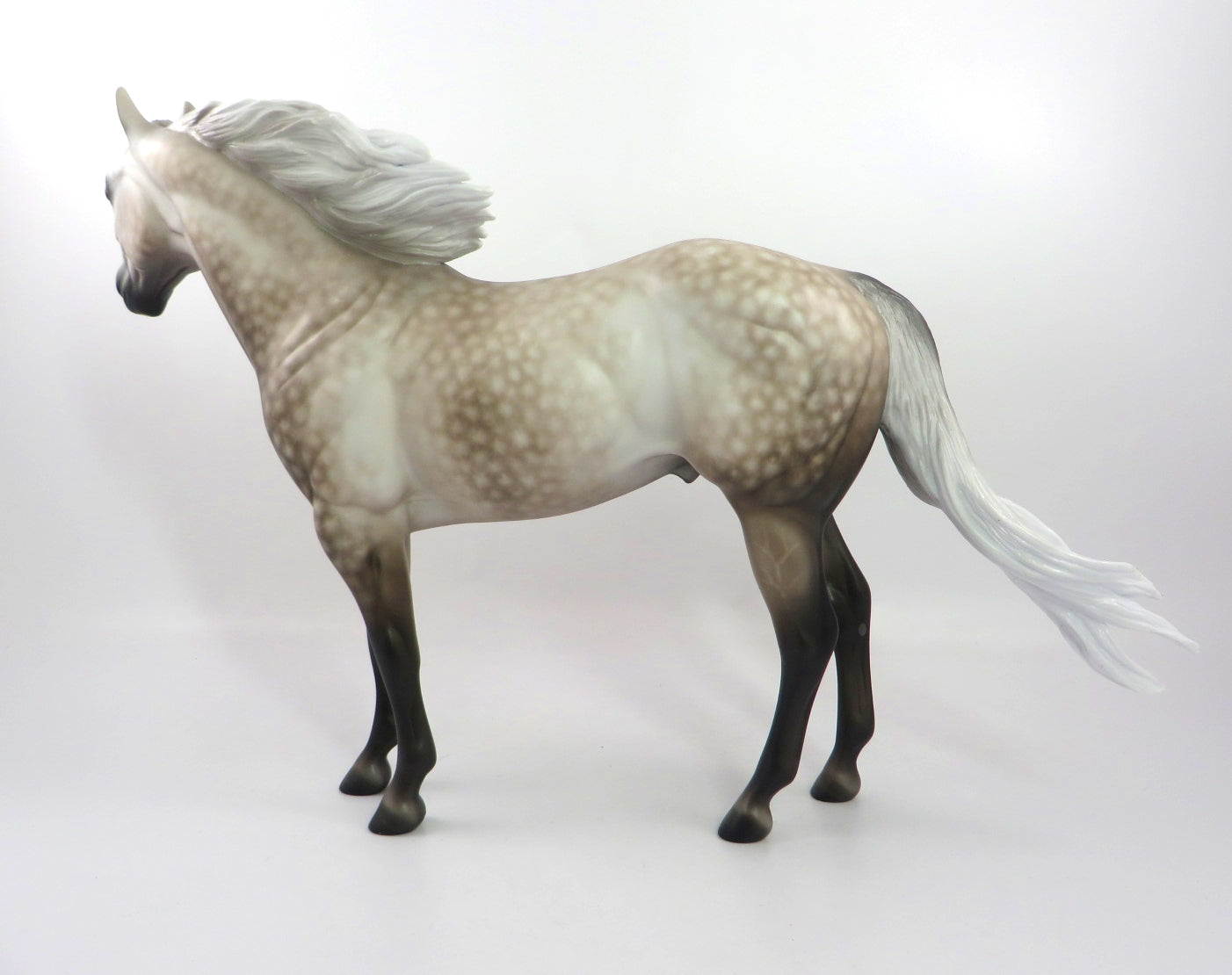 DARLING-OOAK STAR DAPPLE GREY ISH BY SHERYL LEISURE 12/2719