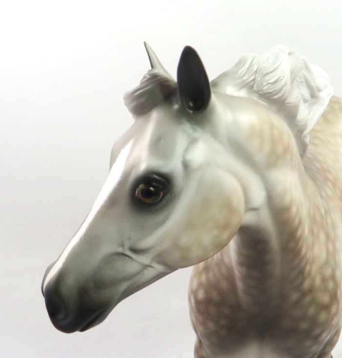 DARLING-OOAK STAR DAPPLE GREY ISH BY SHERYL LEISURE 12/2719