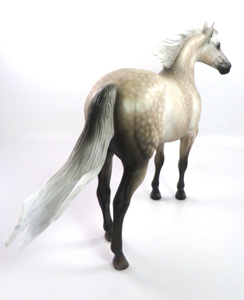 DARLING-OOAK STAR DAPPLE GREY ISH BY SHERYL LEISURE 12/2719